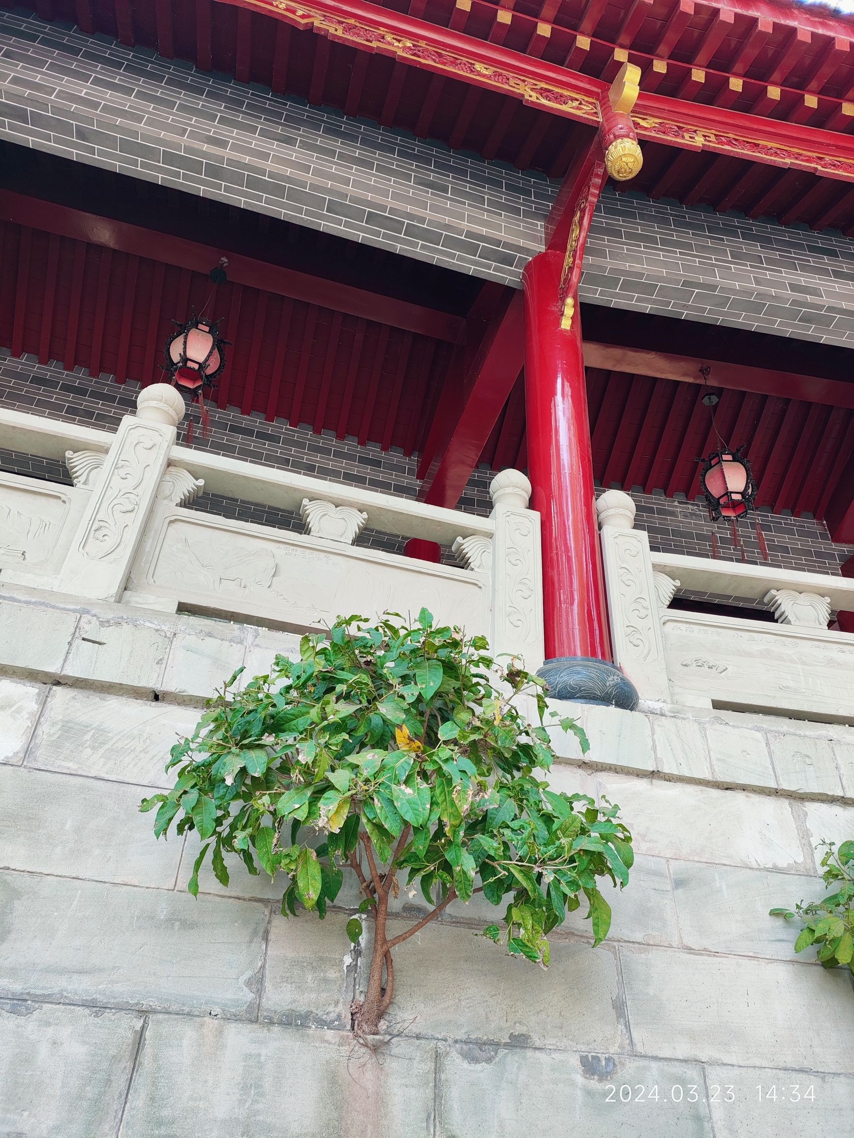 朱家大院旅行图片
