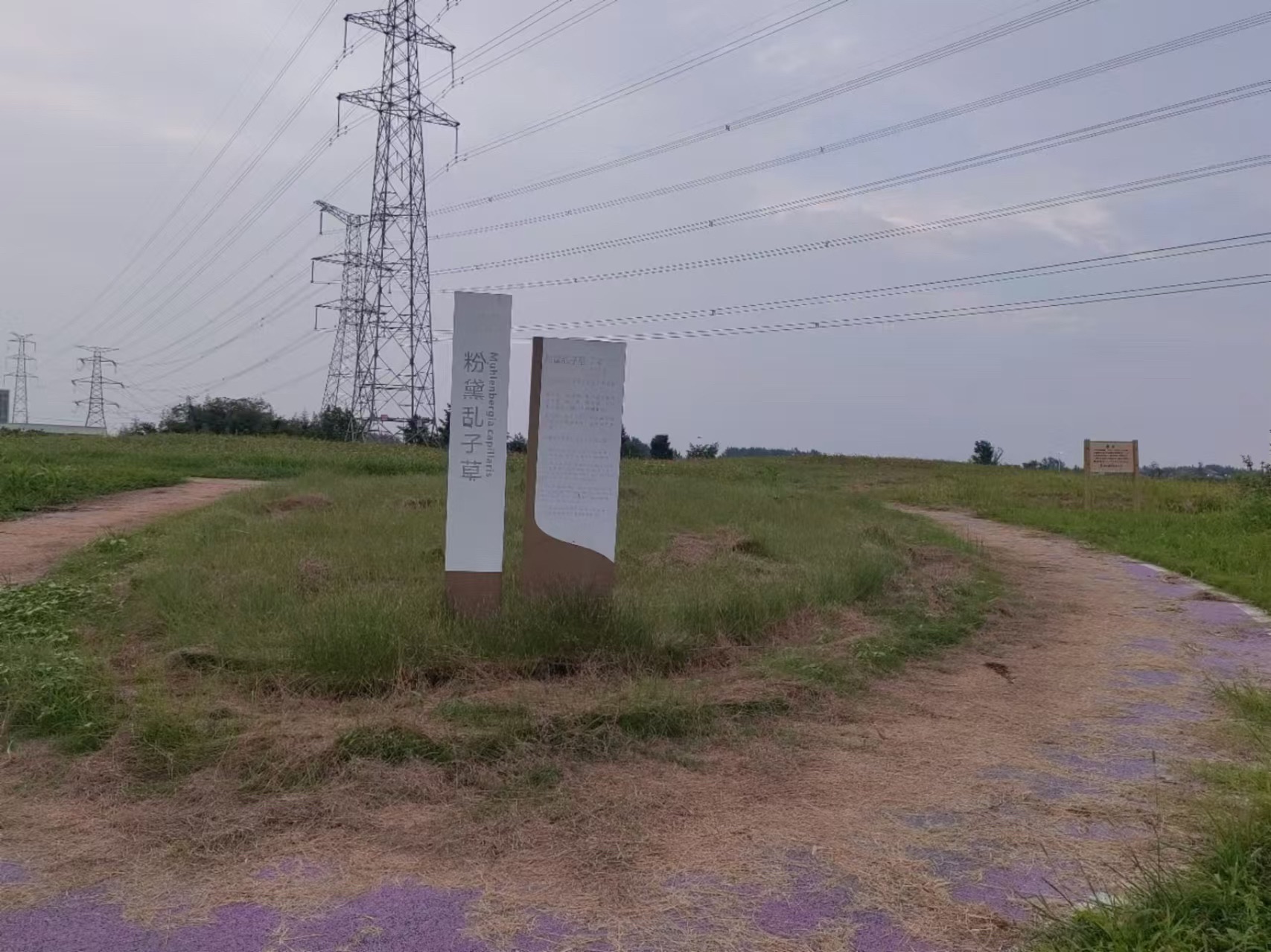 涟水县百花园旅行图片