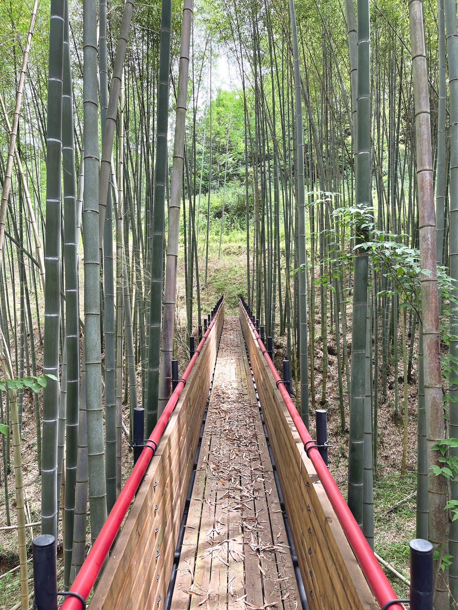 汪家冲观景台
