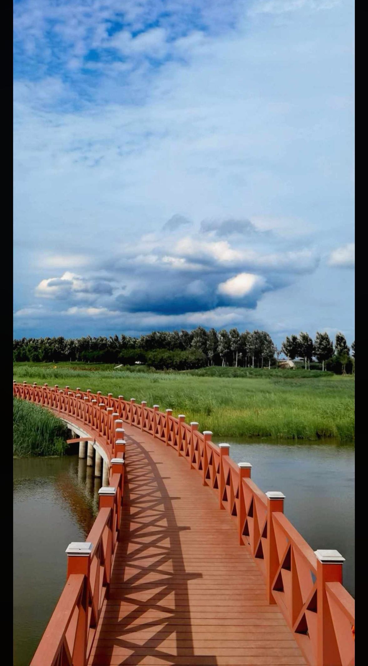 西湖湿地公园