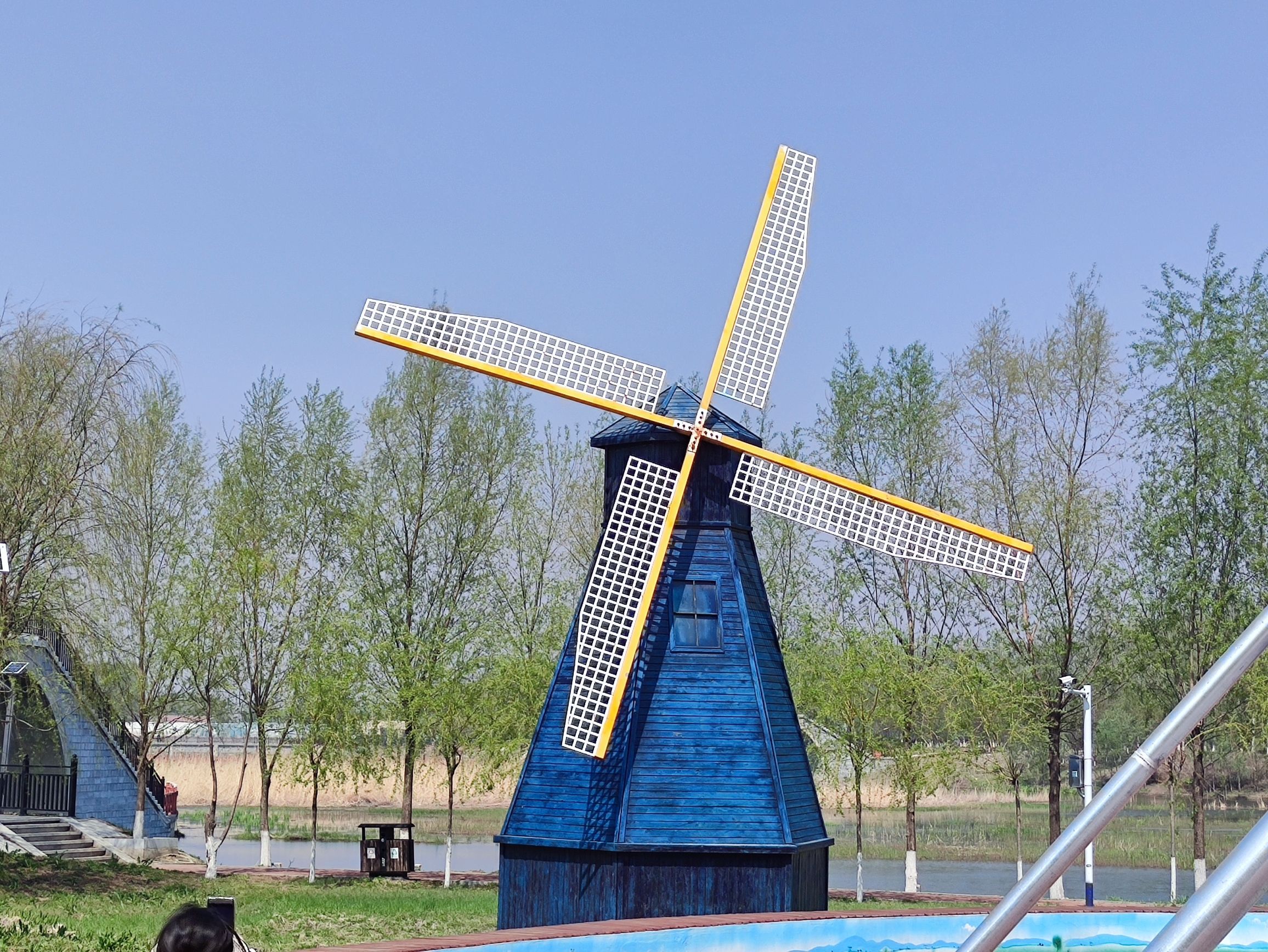 西湖湿地公园旅行图片