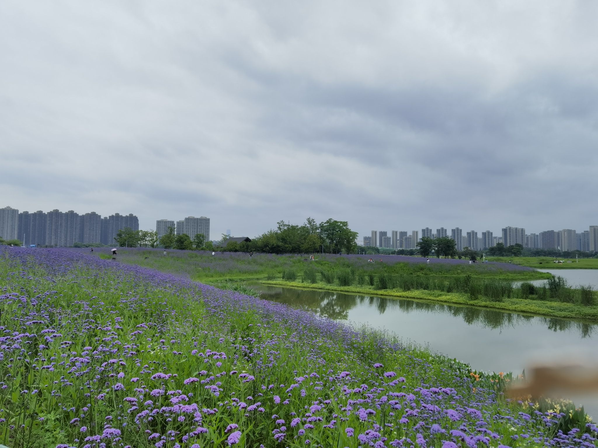 洋湖体育公园