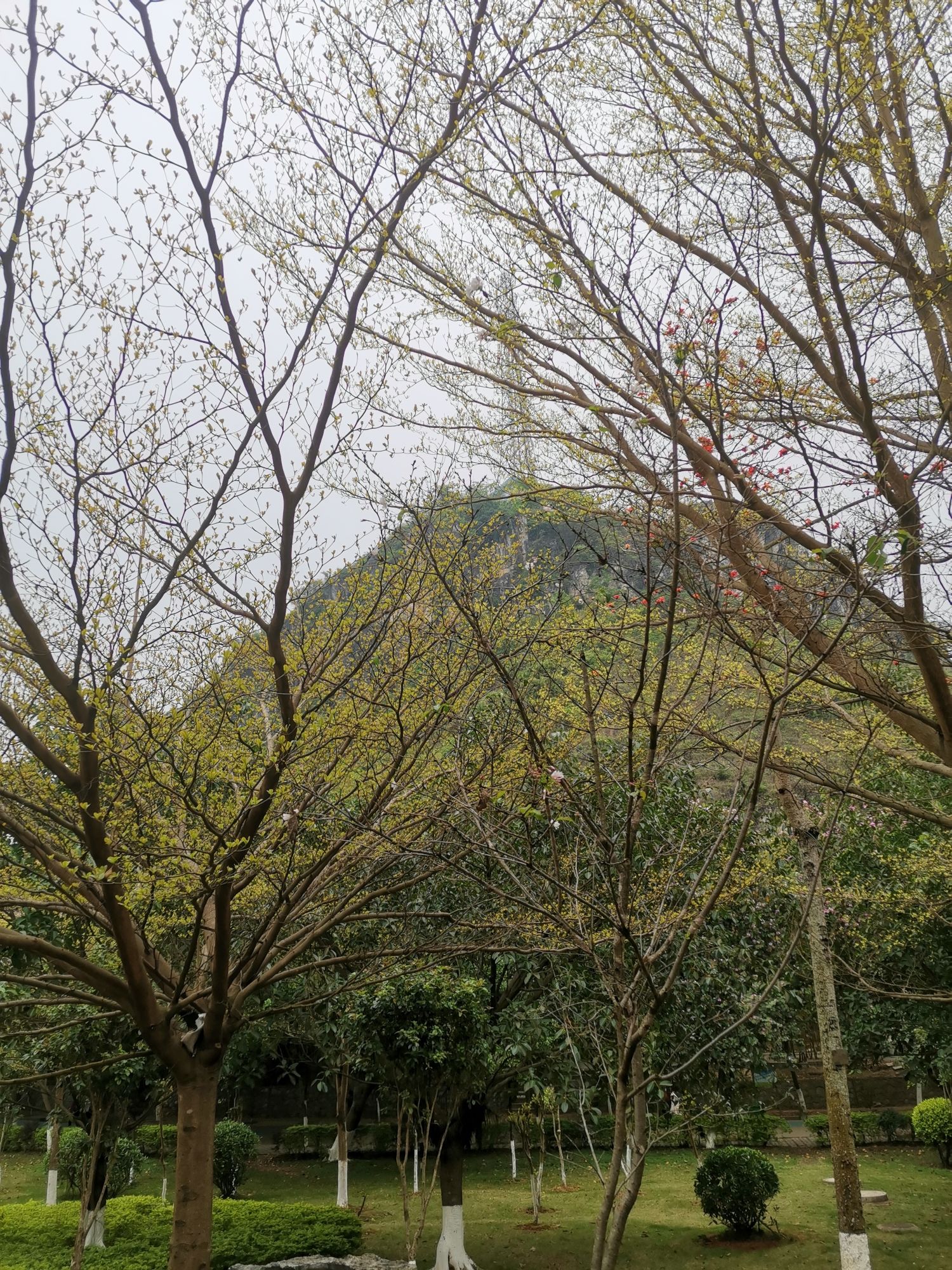 武宣马鞍山公园