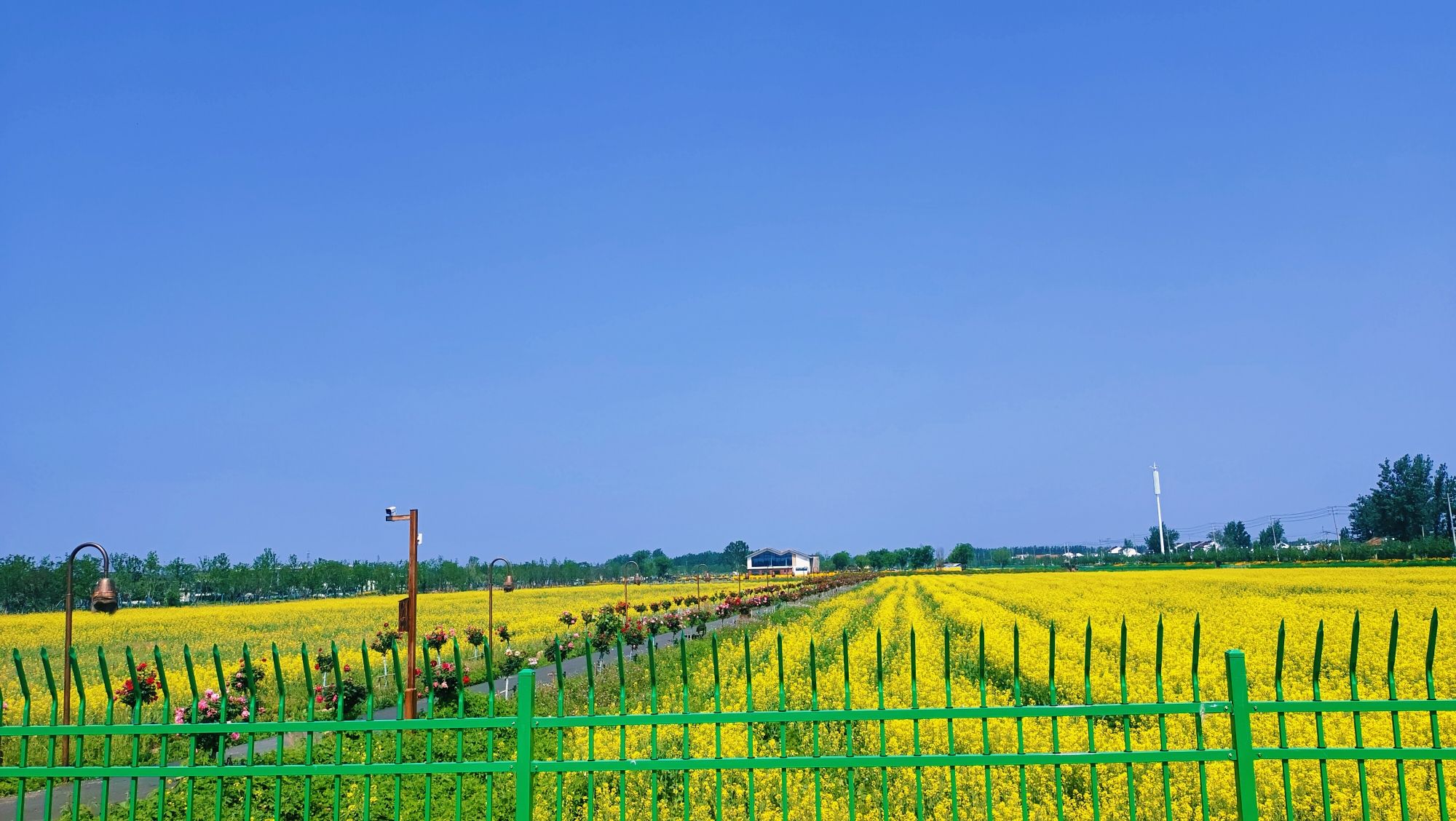 宿迁市城市风景