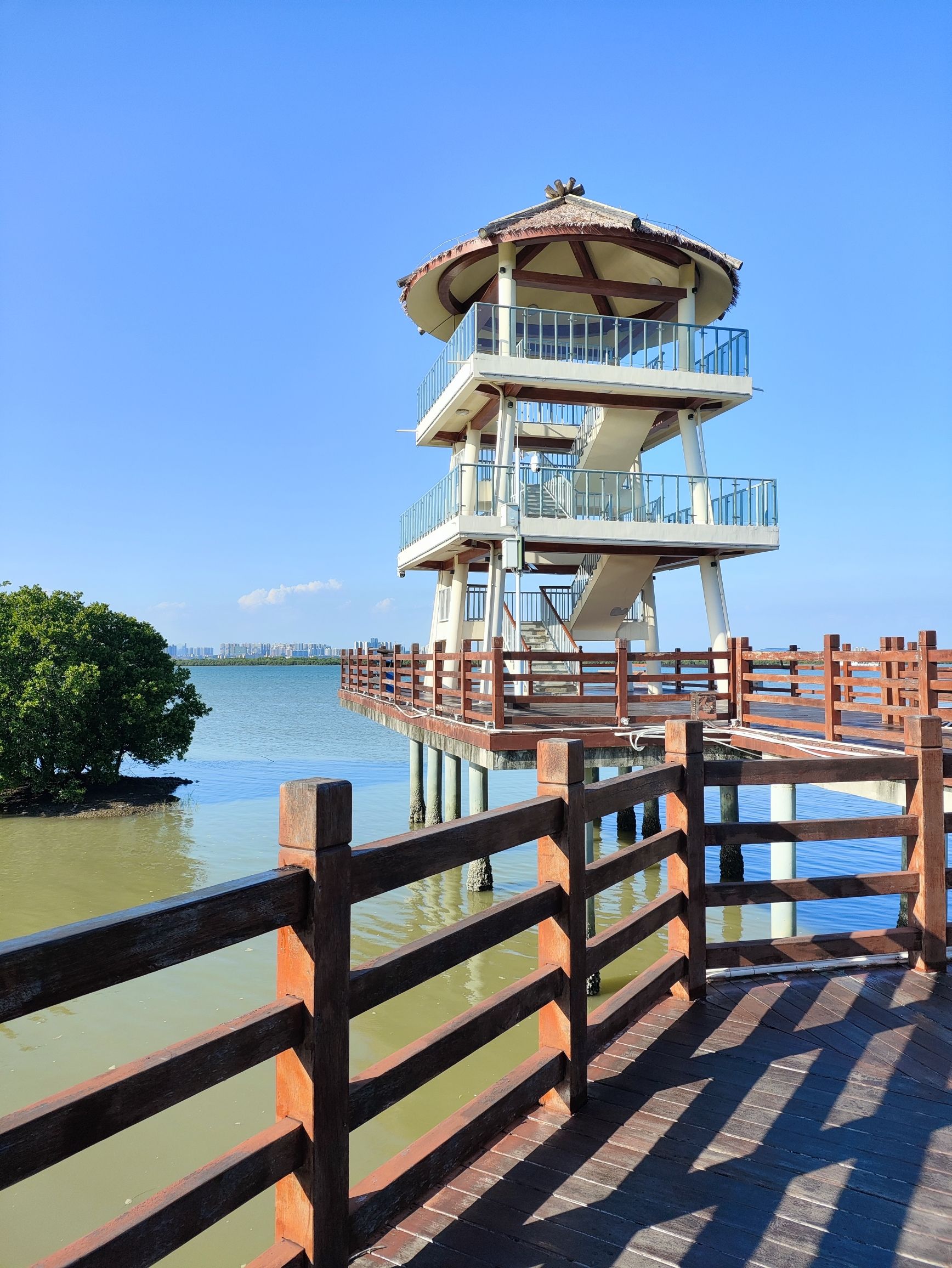 水东湾海洋公园旅行图片
