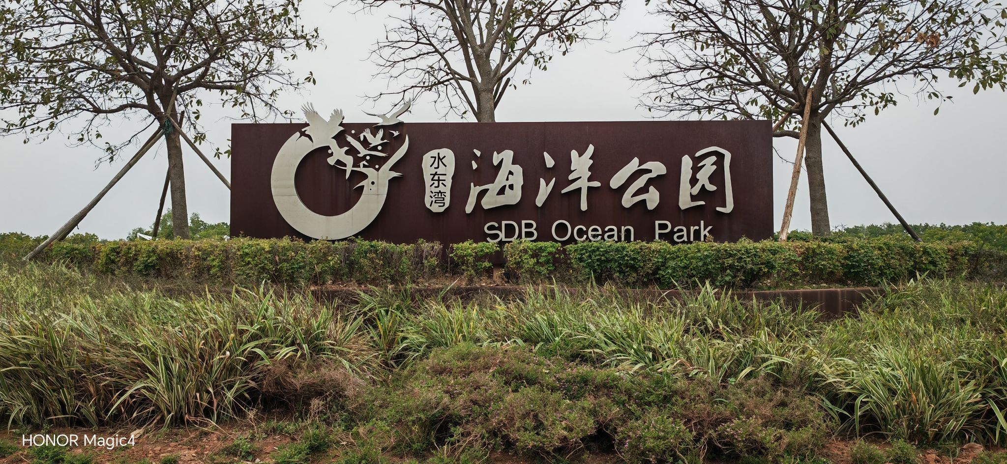 水东湾海洋公园旅行图片