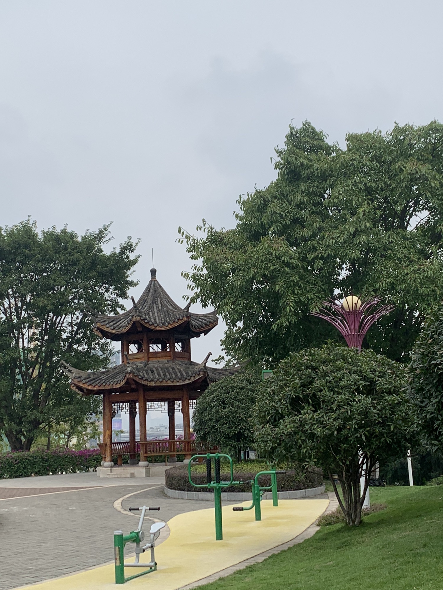 丹凤公园旅行图片