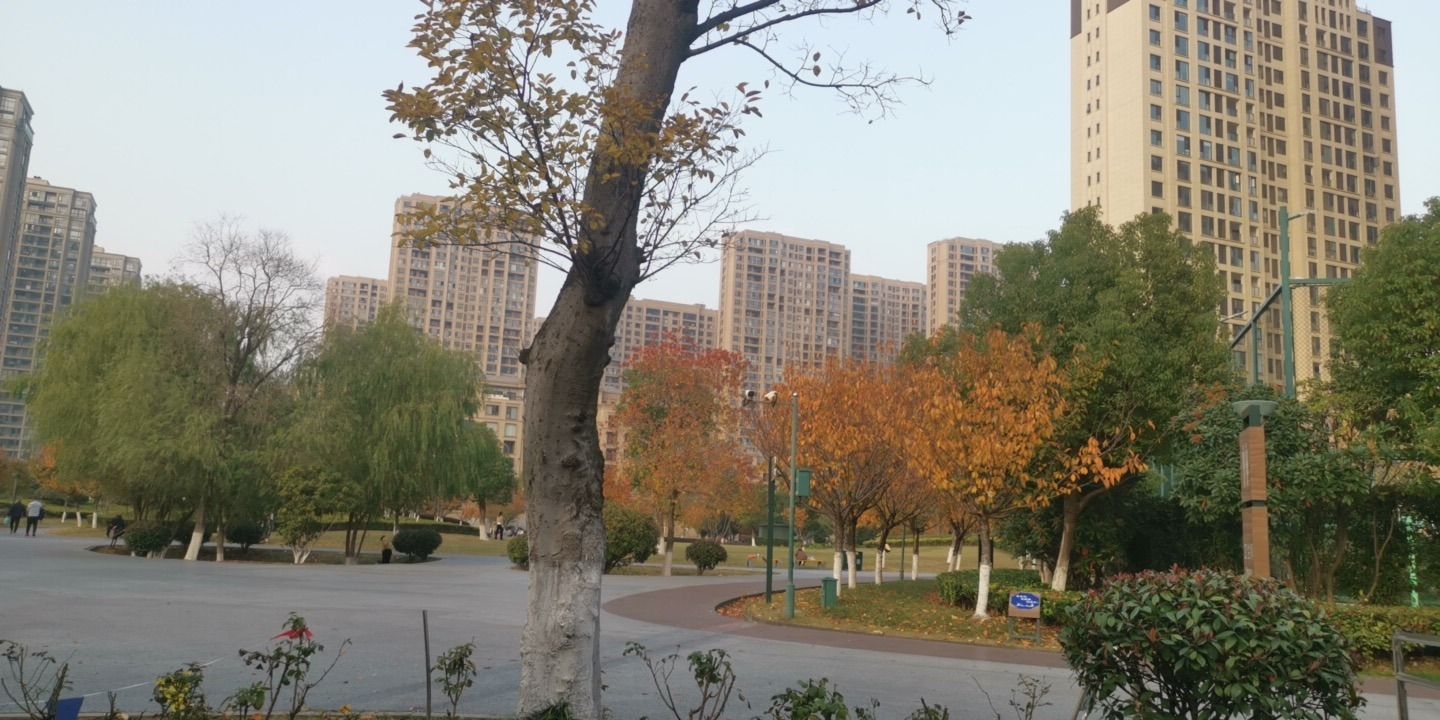 武进长沟河公园旅行图片