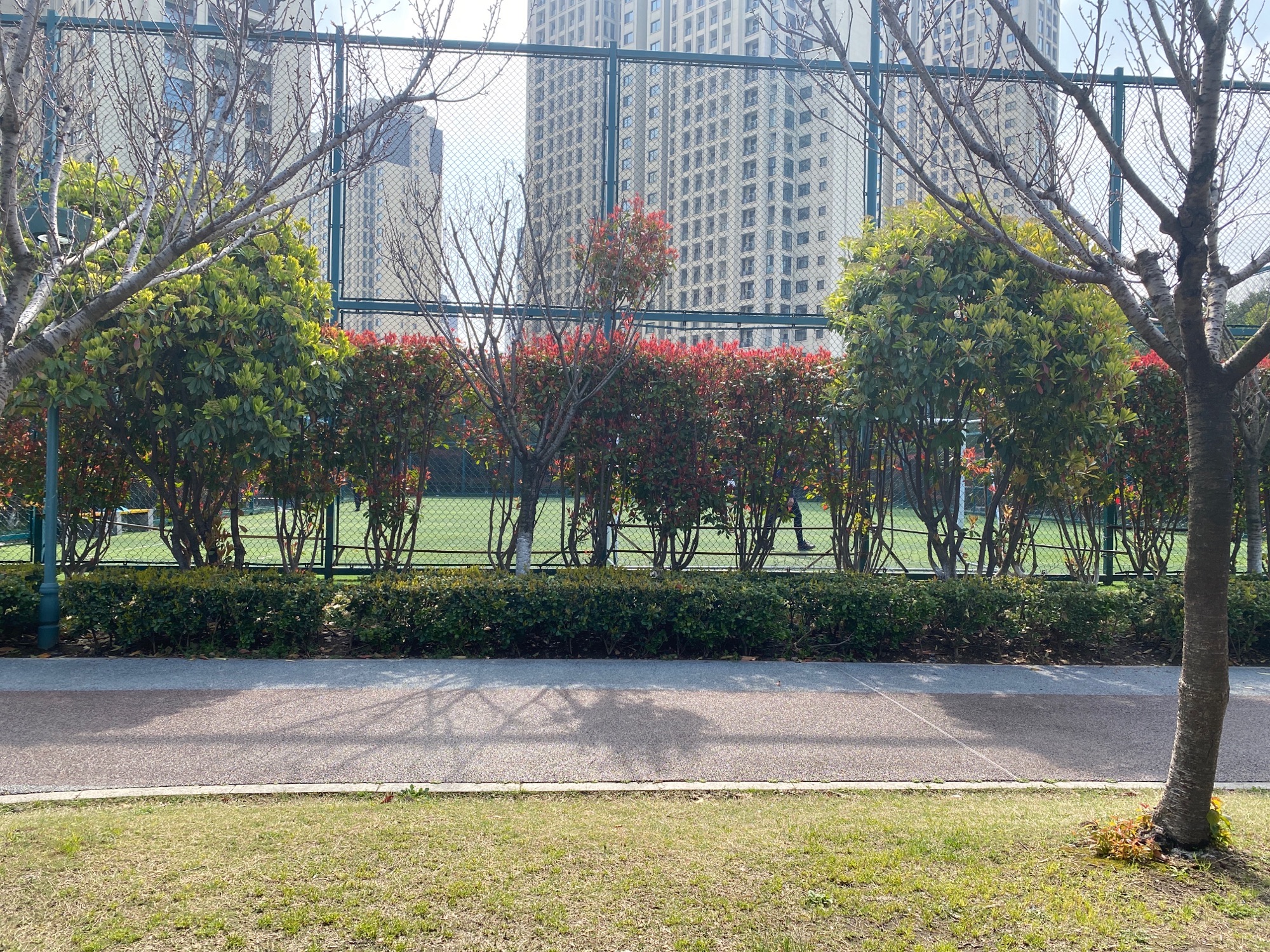 武进长沟河公园旅行图片