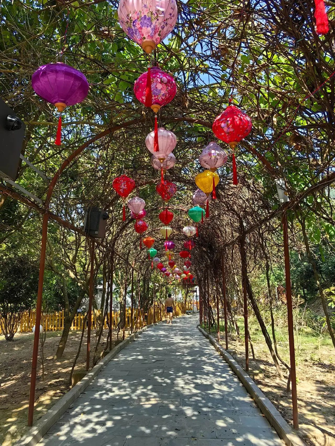 上思县十万大山布透温泉旅行图片