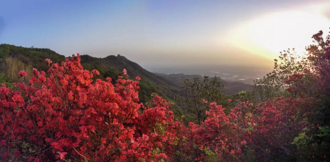 太浮山旅行图片