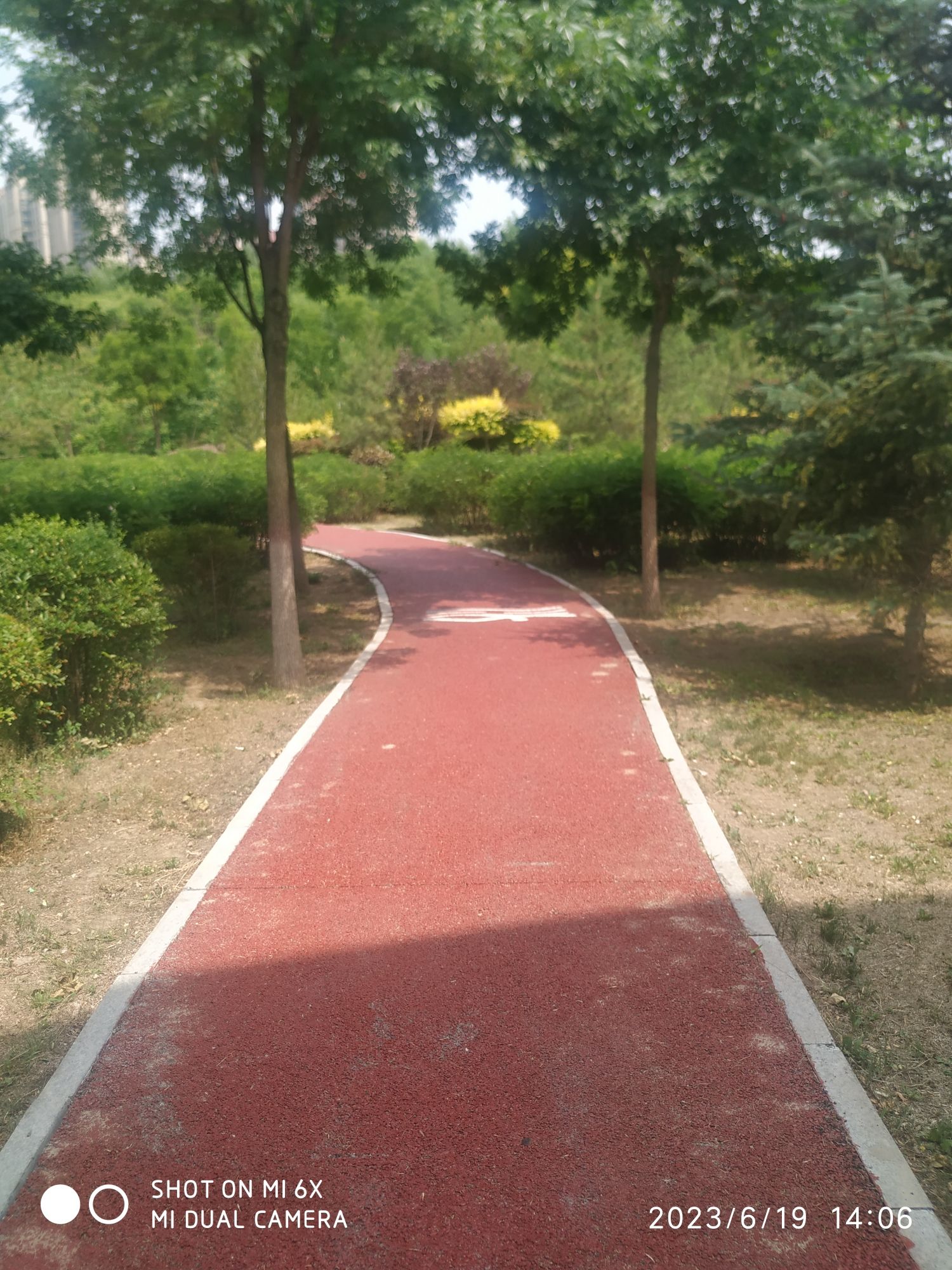 秋岭公园旅行图片