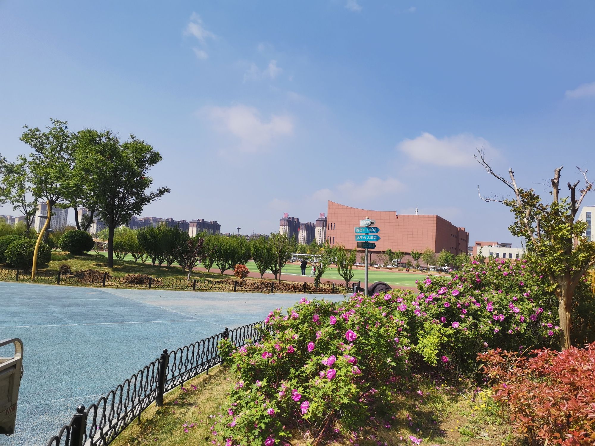 齐河体育公园旅行图片