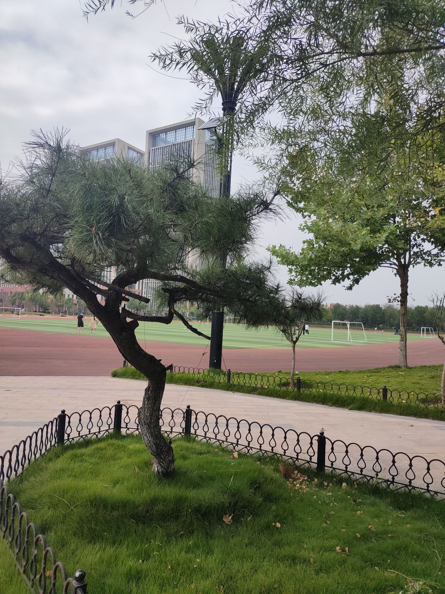 齐河体育公园旅行图片