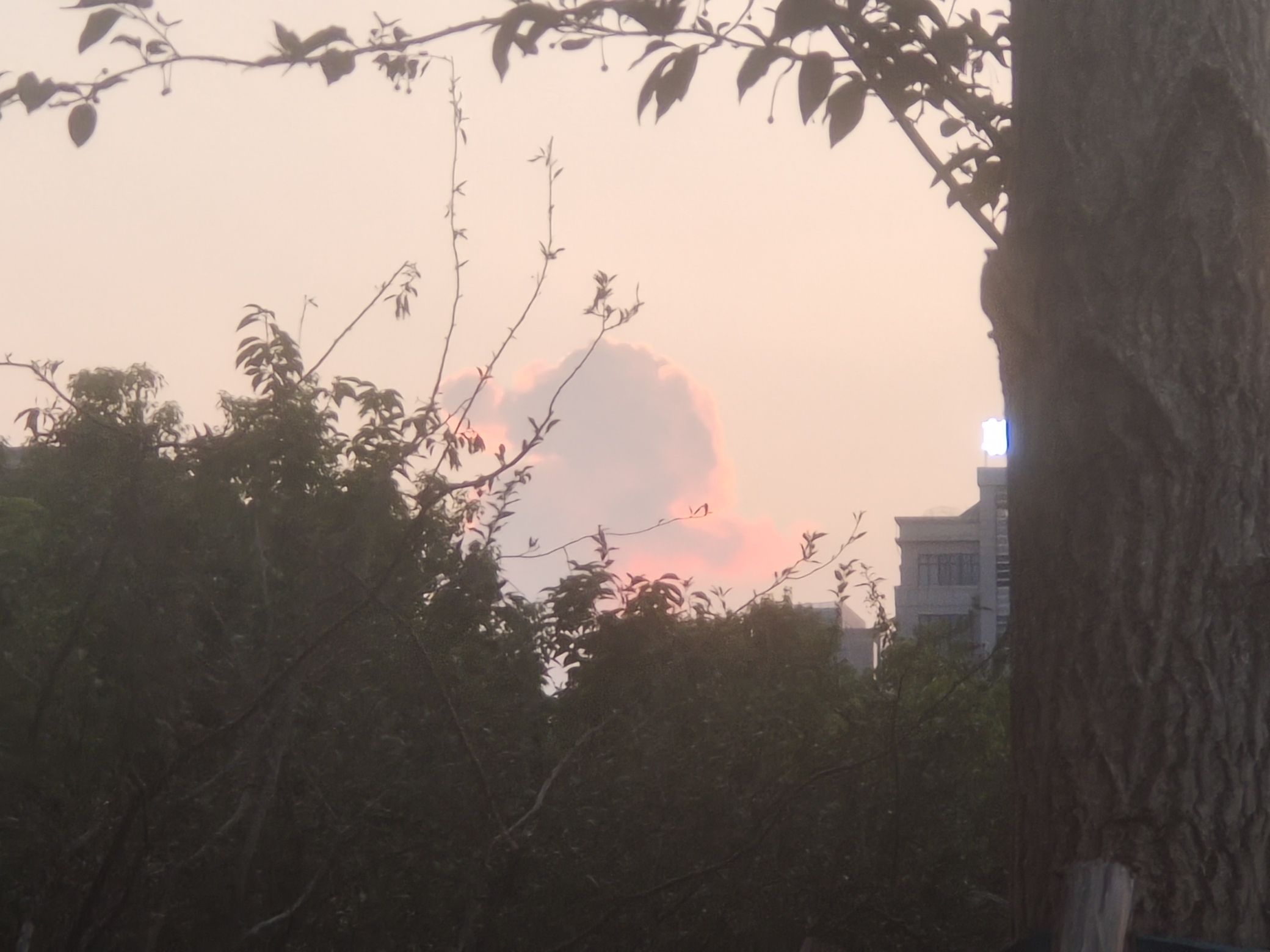 智慧广场旅行图片