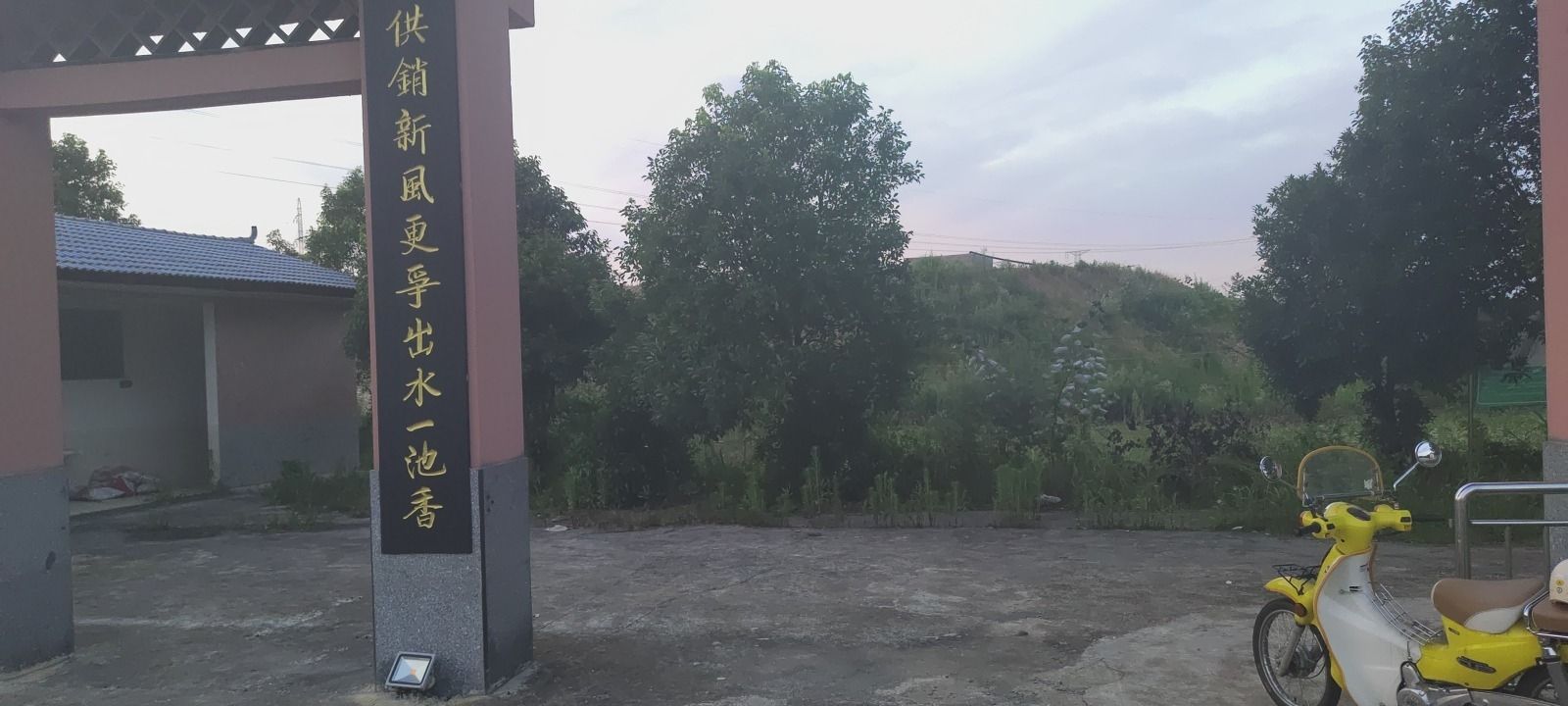 花背荷花园旅行图片