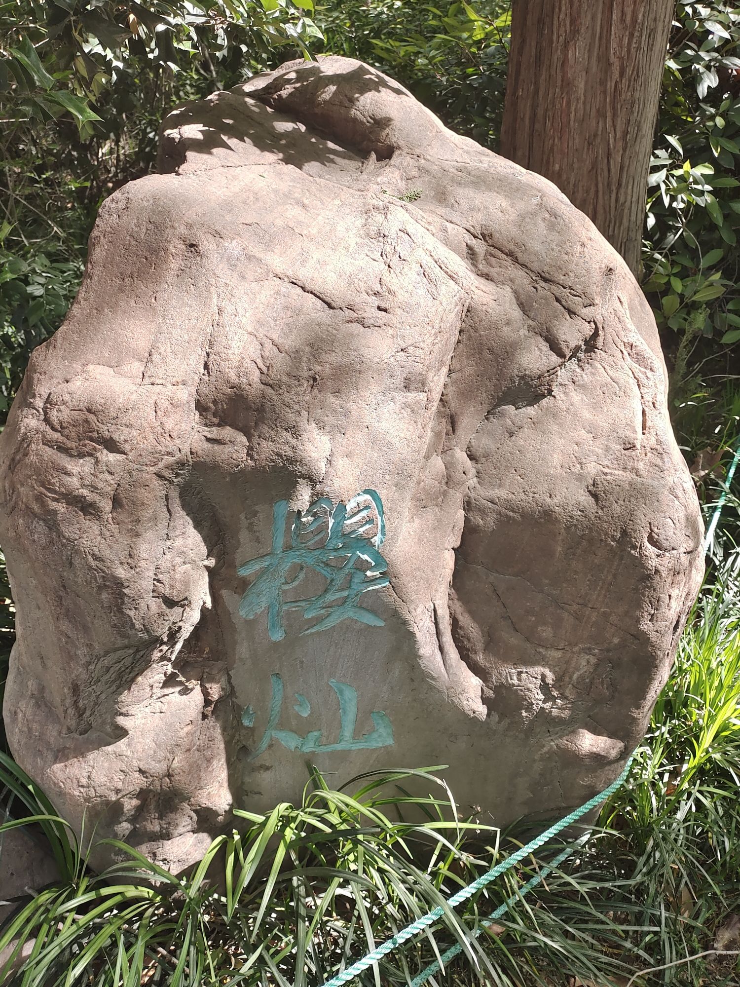 南三环中水公园