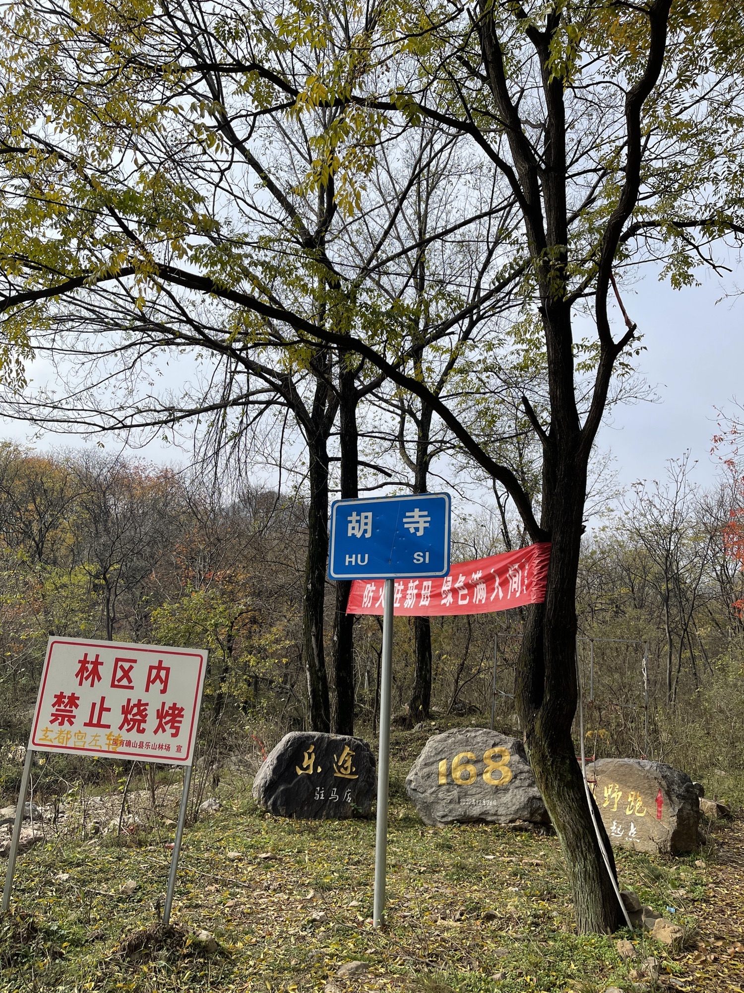 玄都宫寨旅行图片