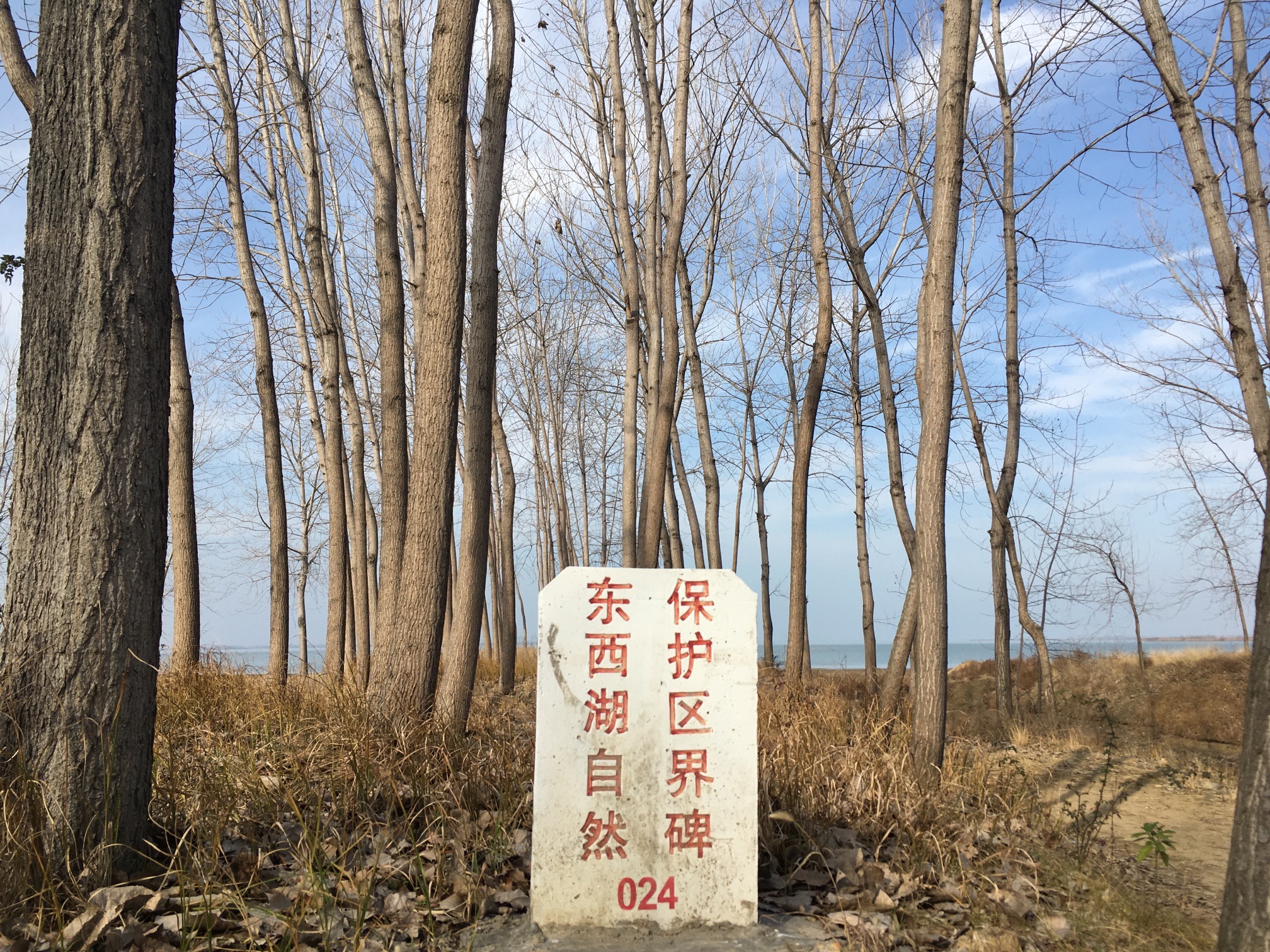陈塔寺