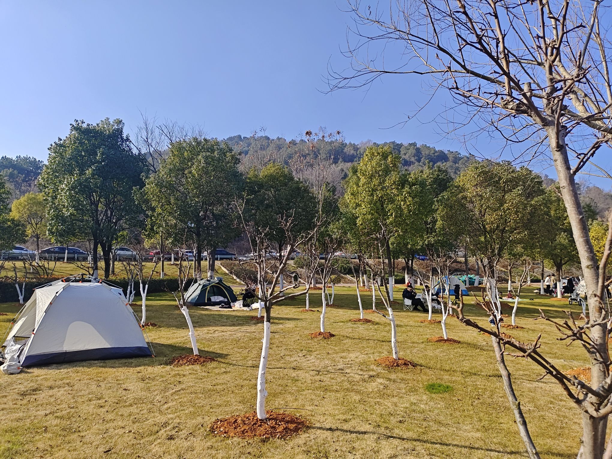 兰亭公园旅行图片