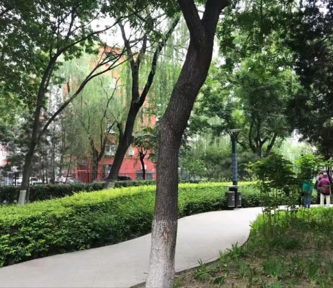知春公园