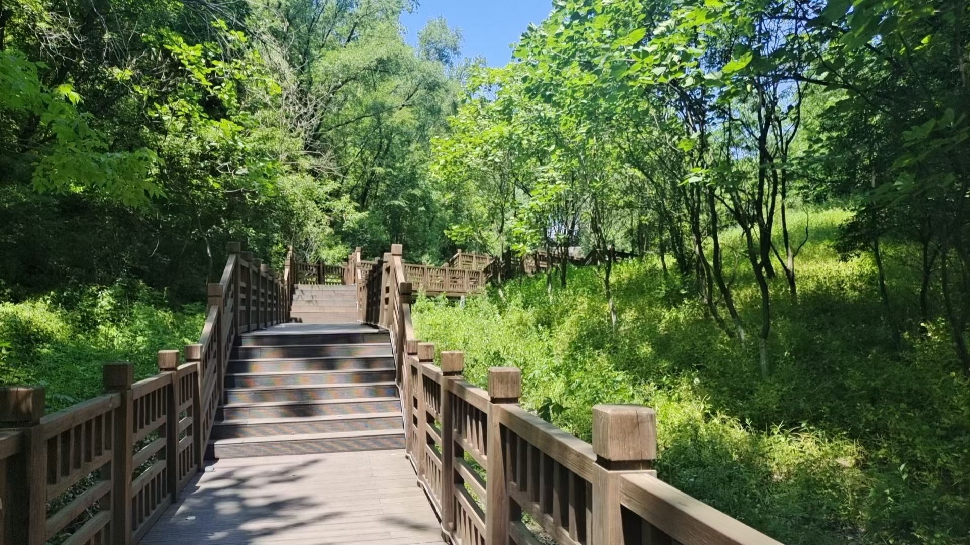 东山公园旅行图片