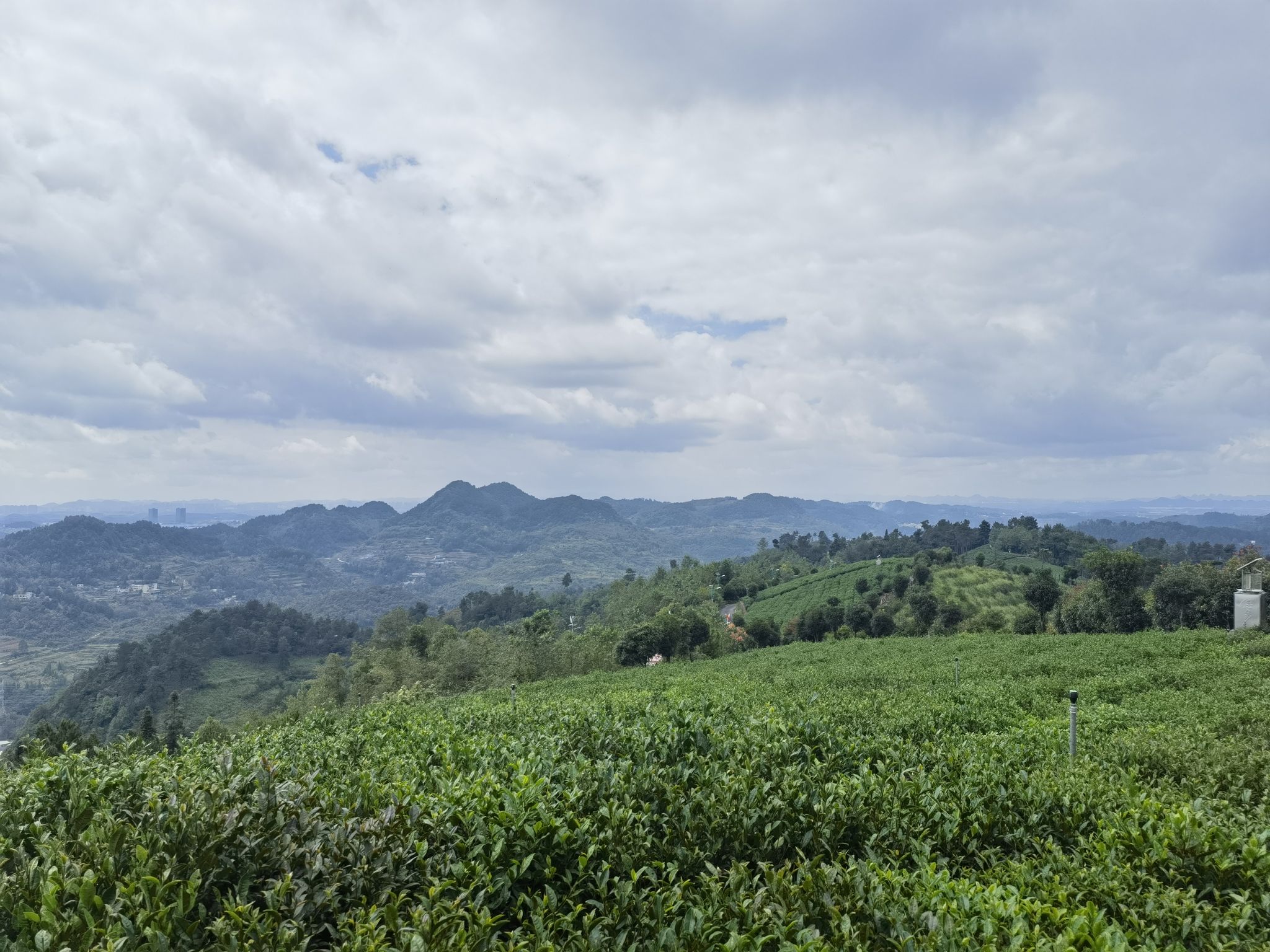 九龙亭(九龙茶峰)