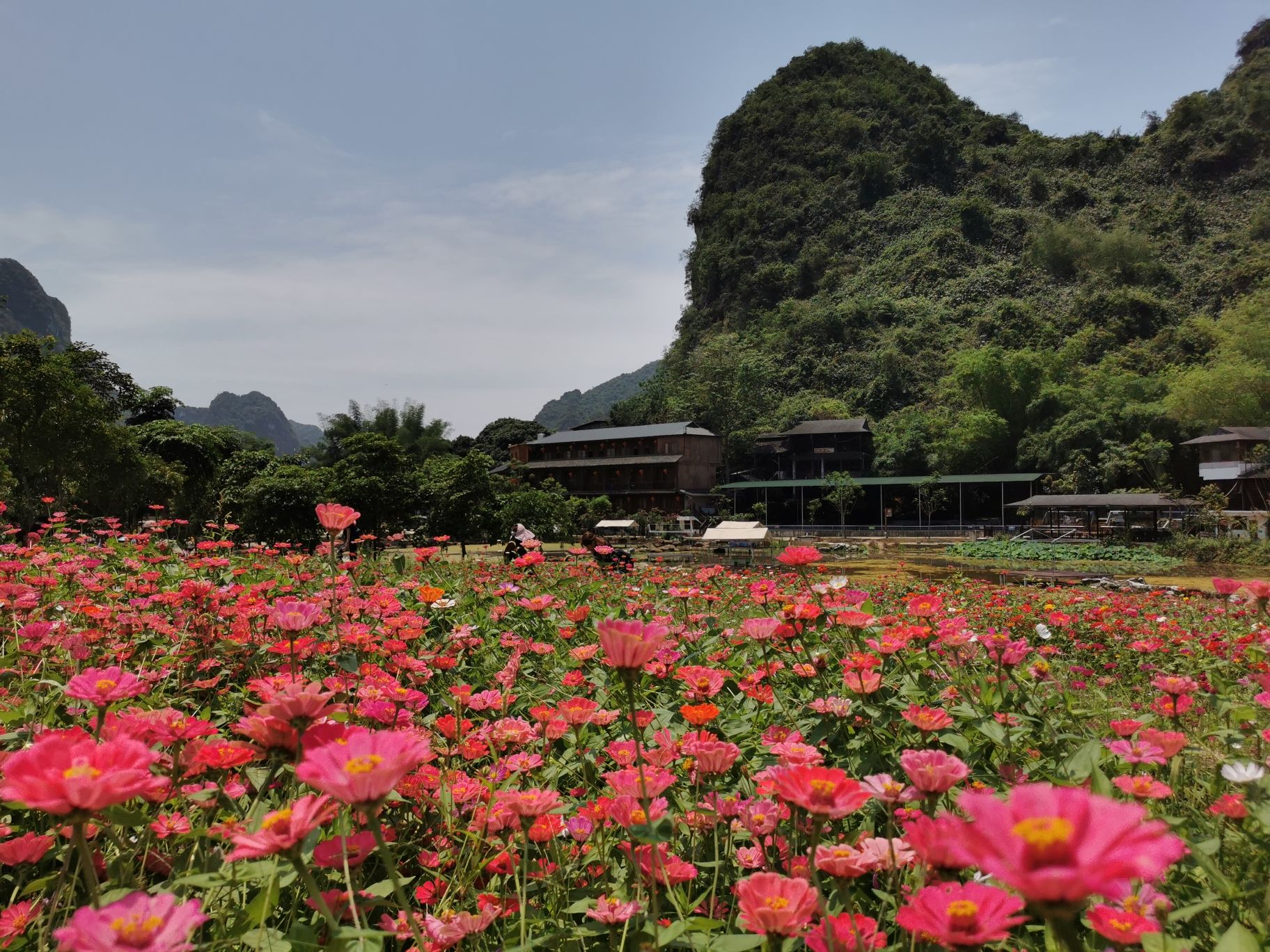 板谭壮营乡村旅游区旅行图片