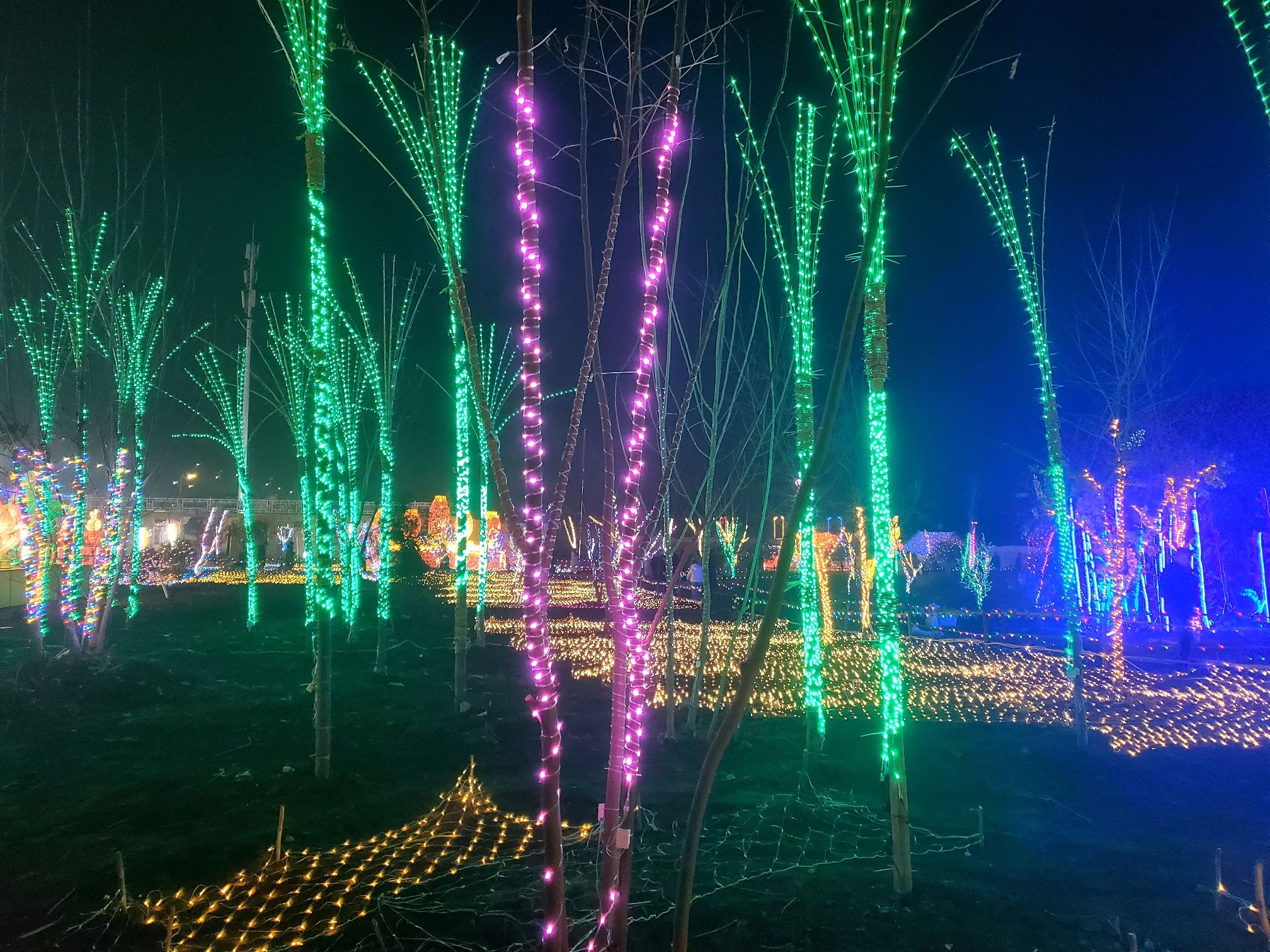 凤凰台植物公园