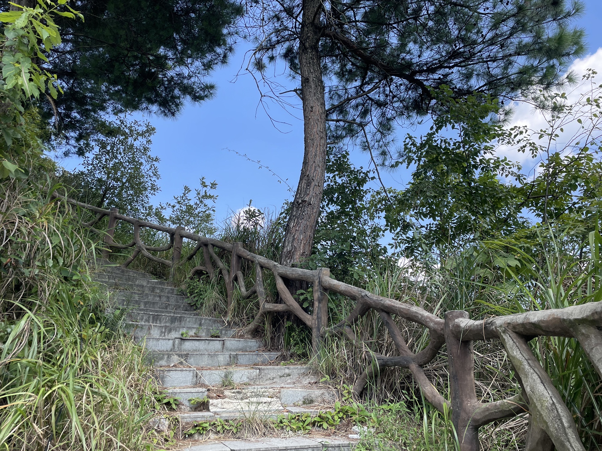 狮子岩山体公园