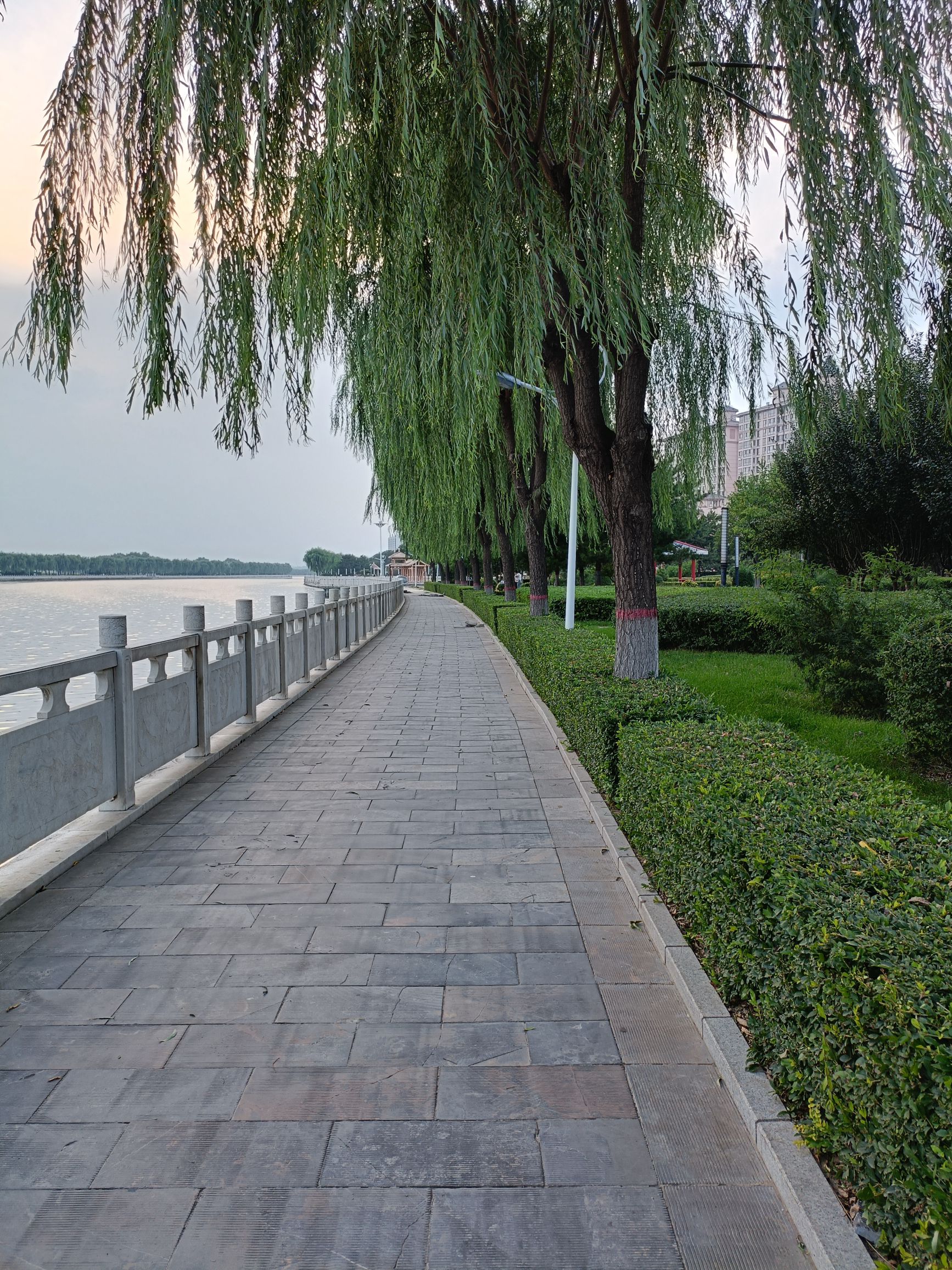 滨河公园