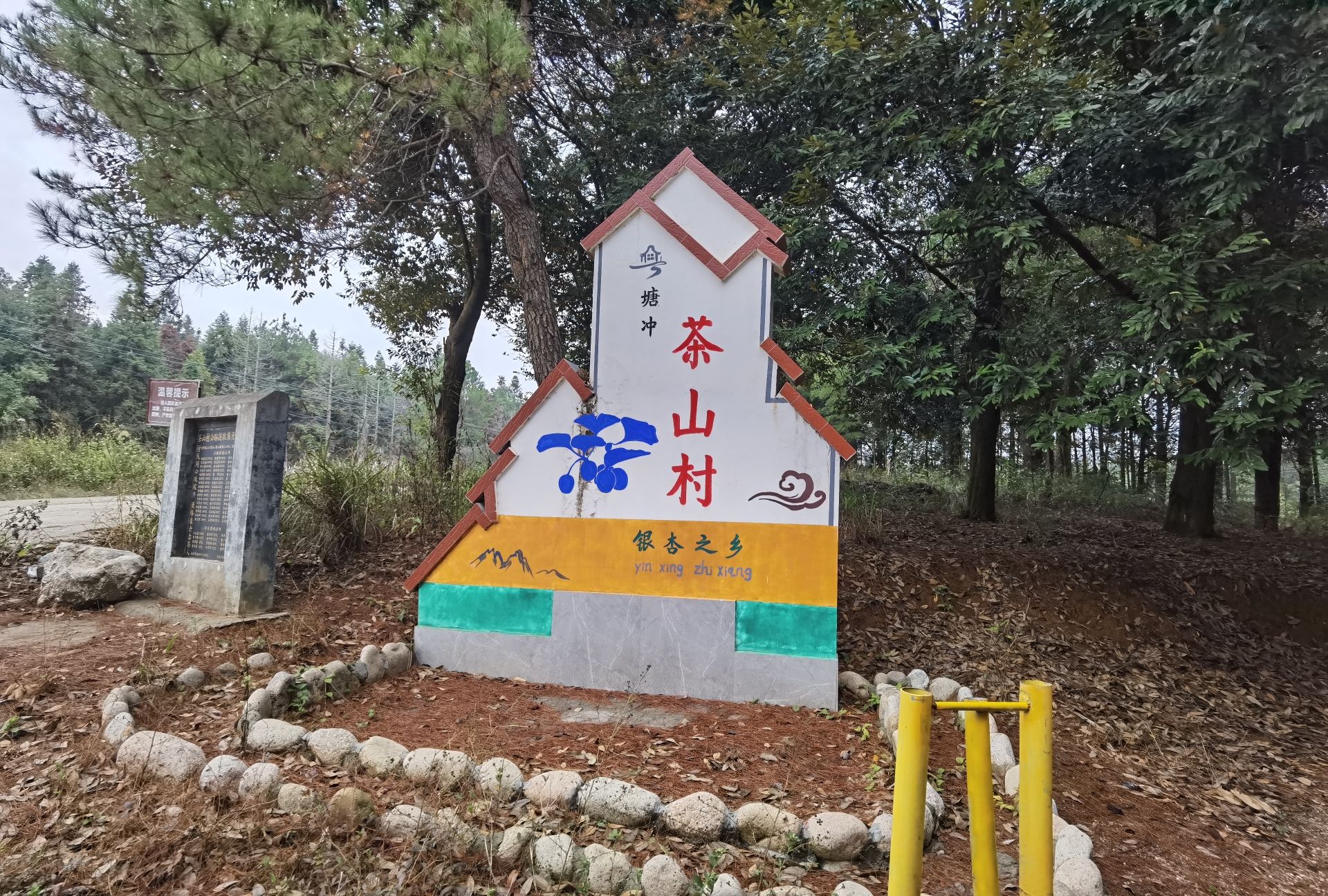 百亩银杏园