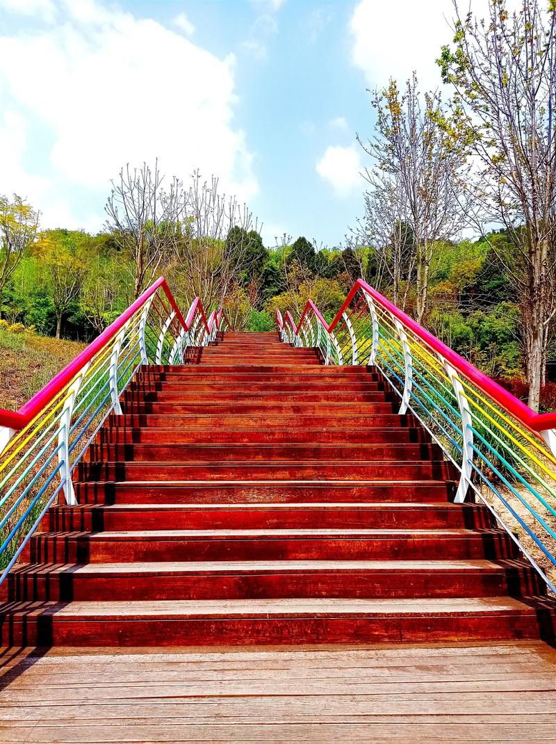 龙泉山城市森林公园