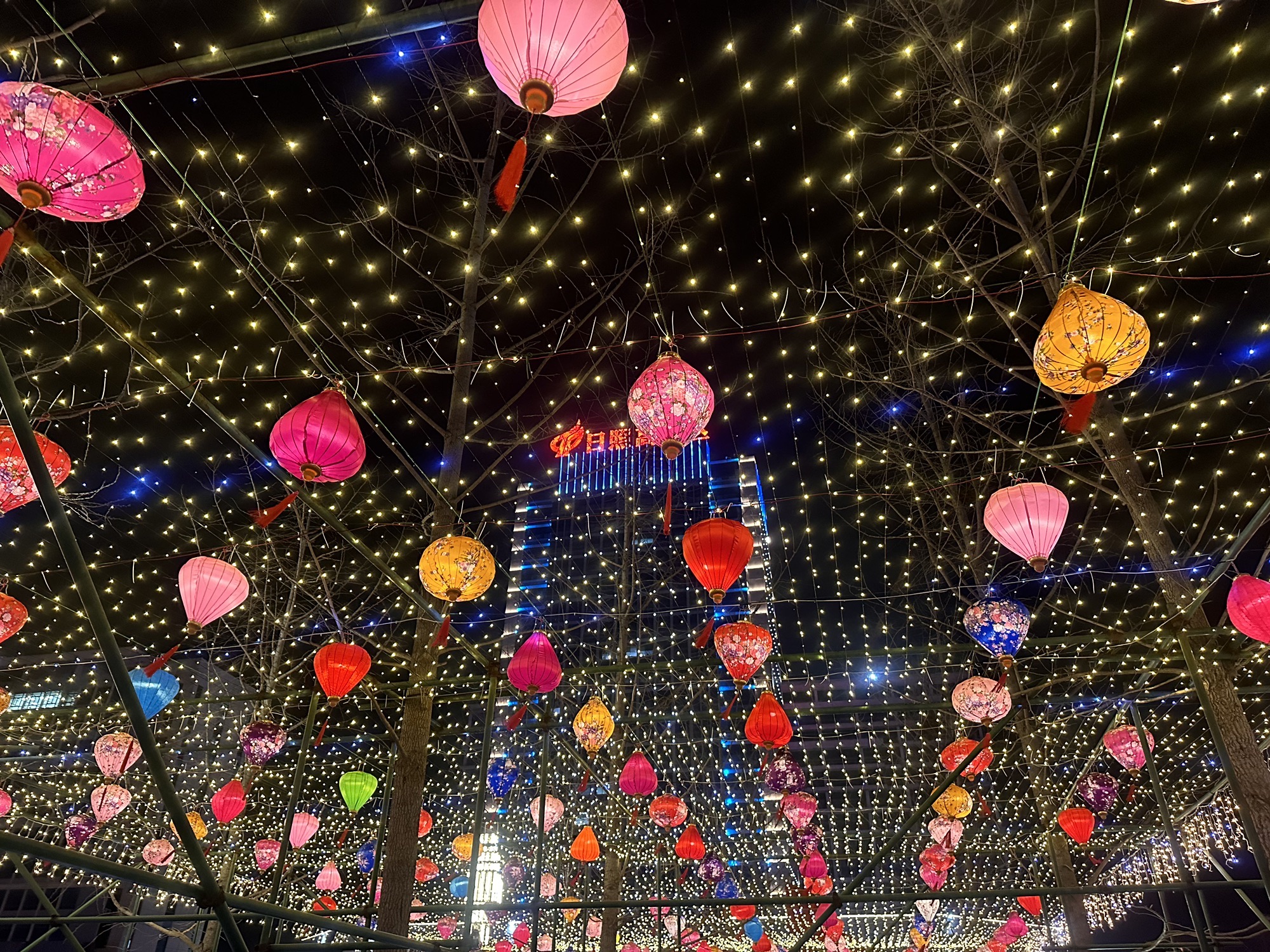 高新区城市生态公园旅行图片