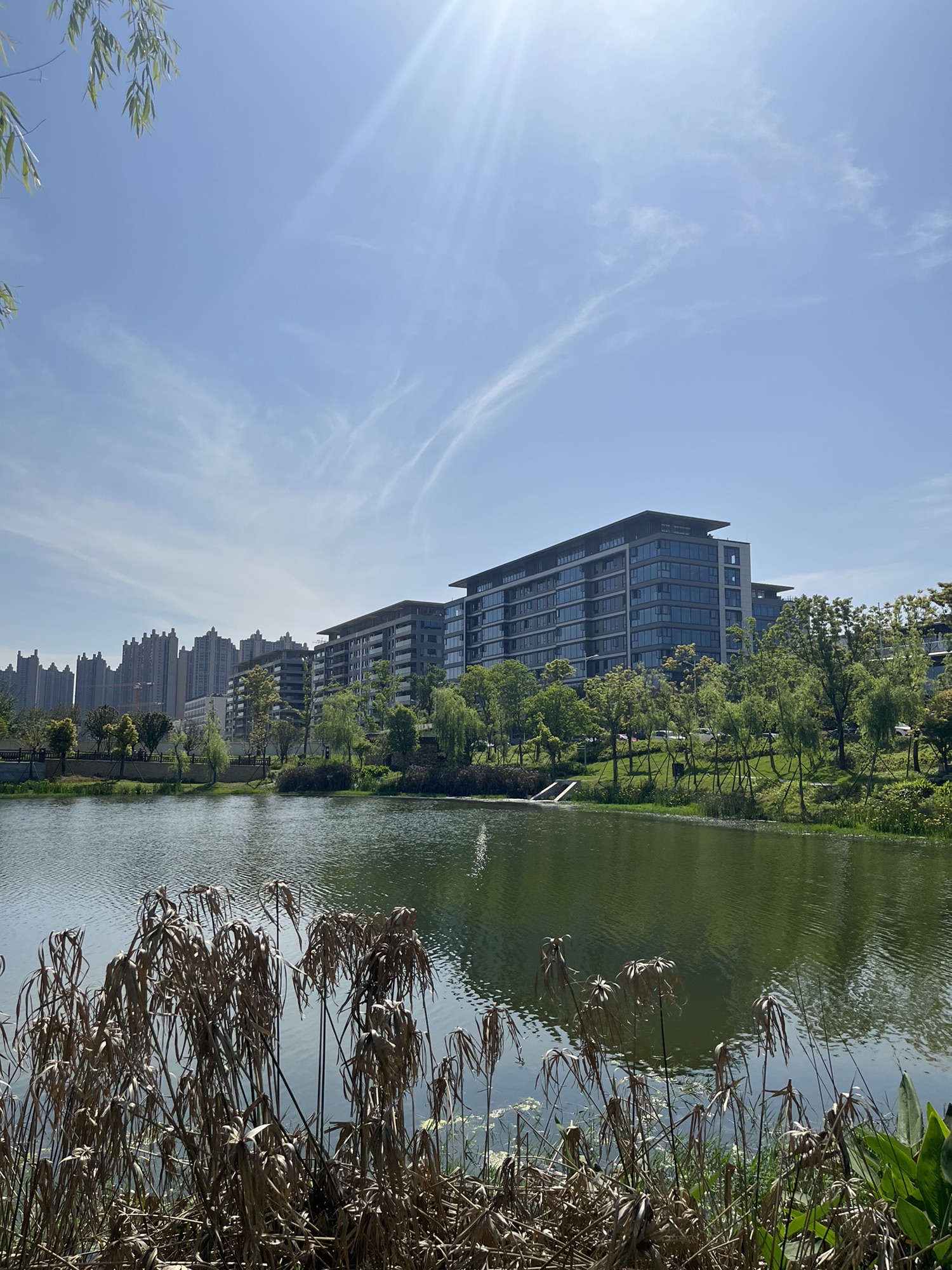 白石湖公园