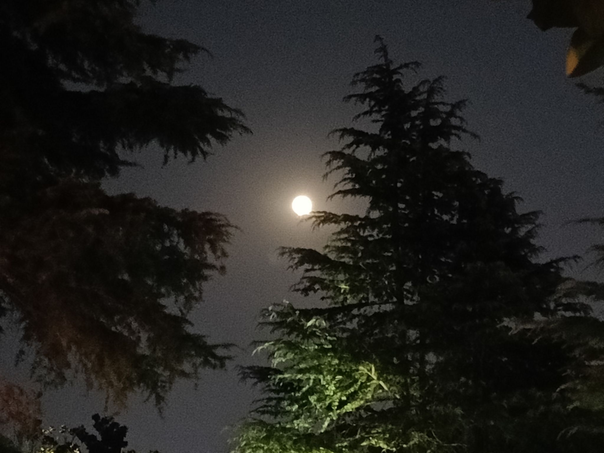 银河之春公园旅行图片