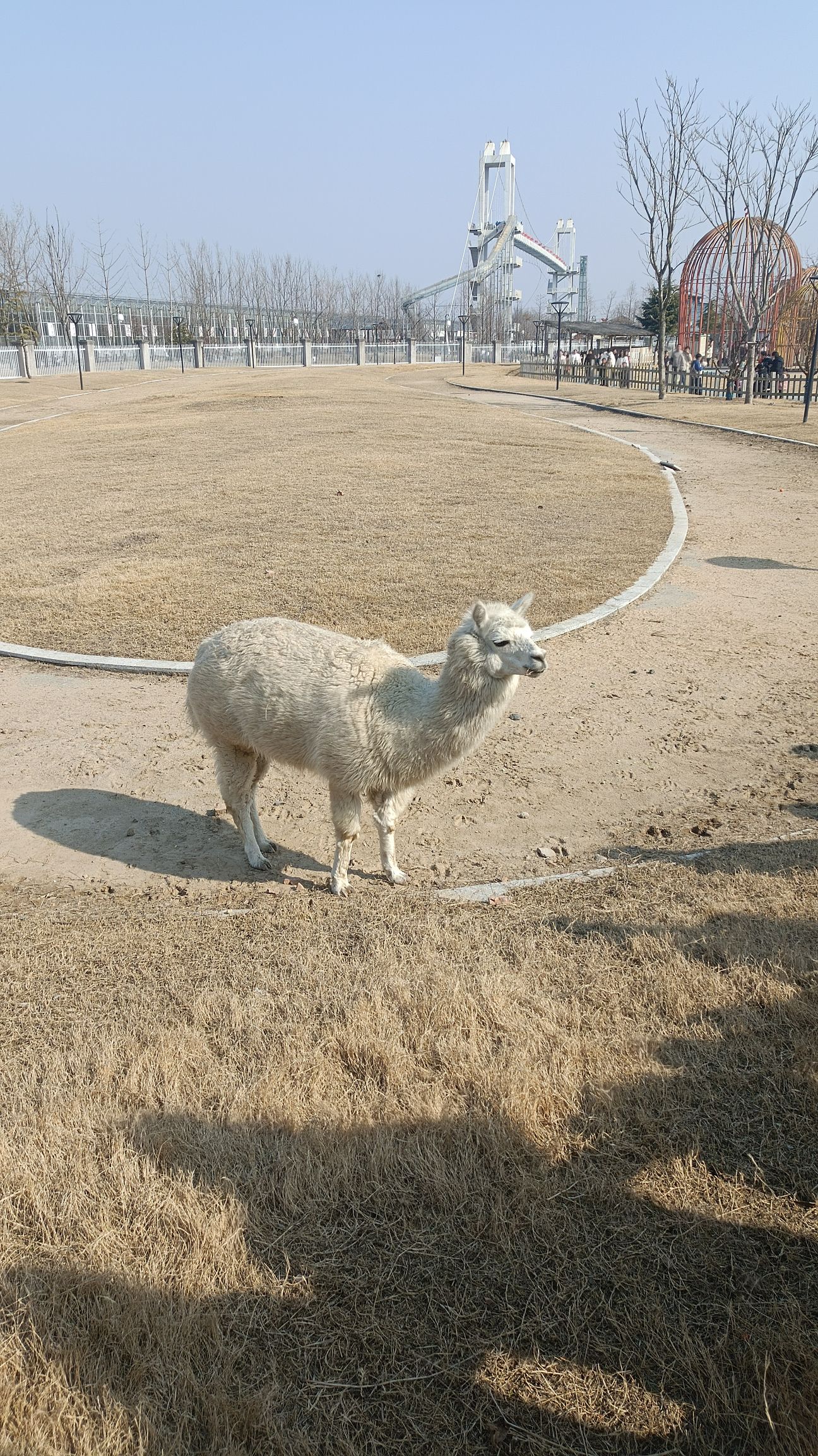 神农时代文化旅游区