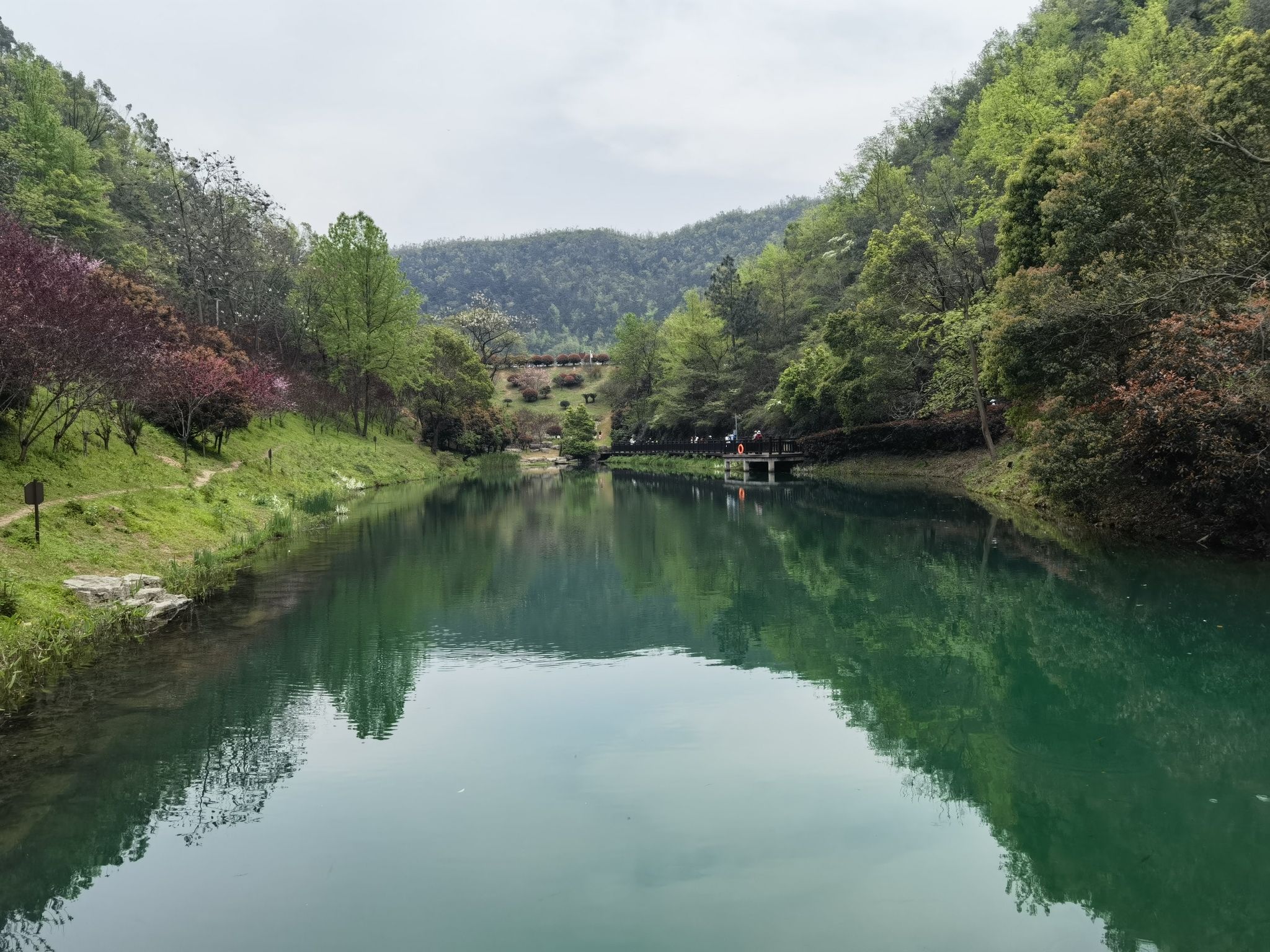 桃花岭景区旅行图片