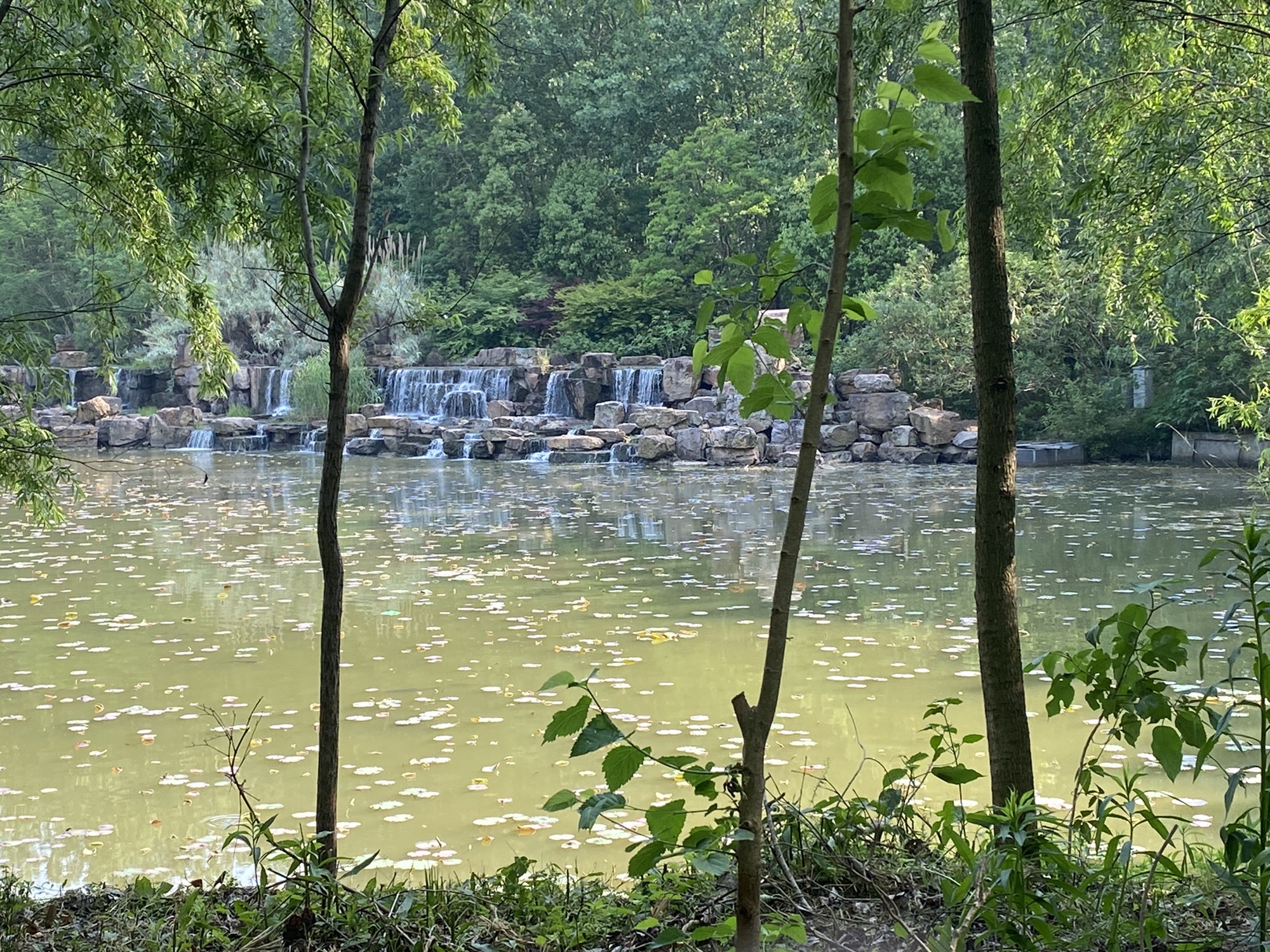 湖滨国家湿地公园
