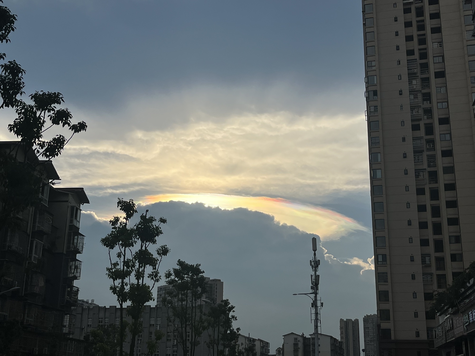 南山公园