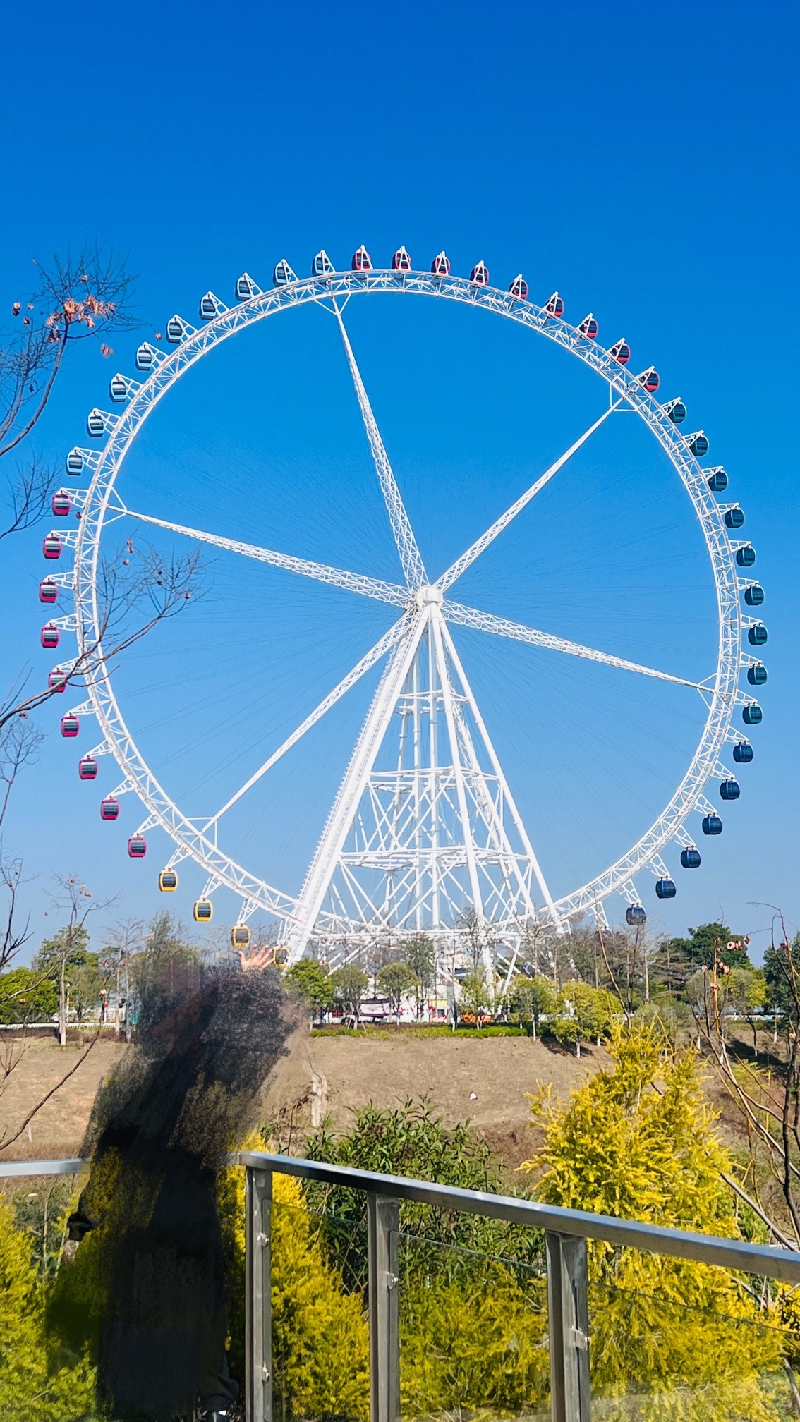 九子岭公园旅行图片
