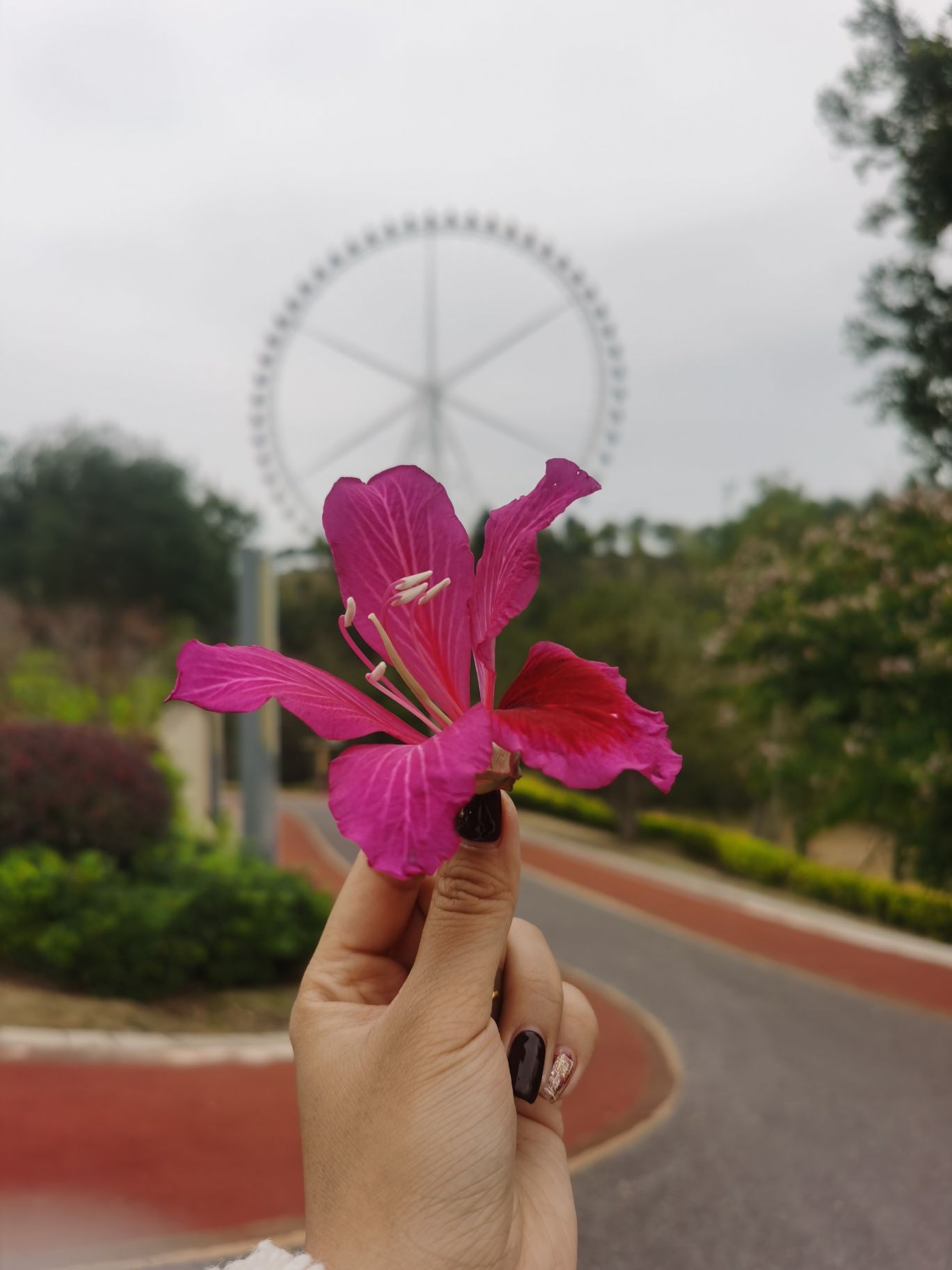 九子岭公园旅行图片