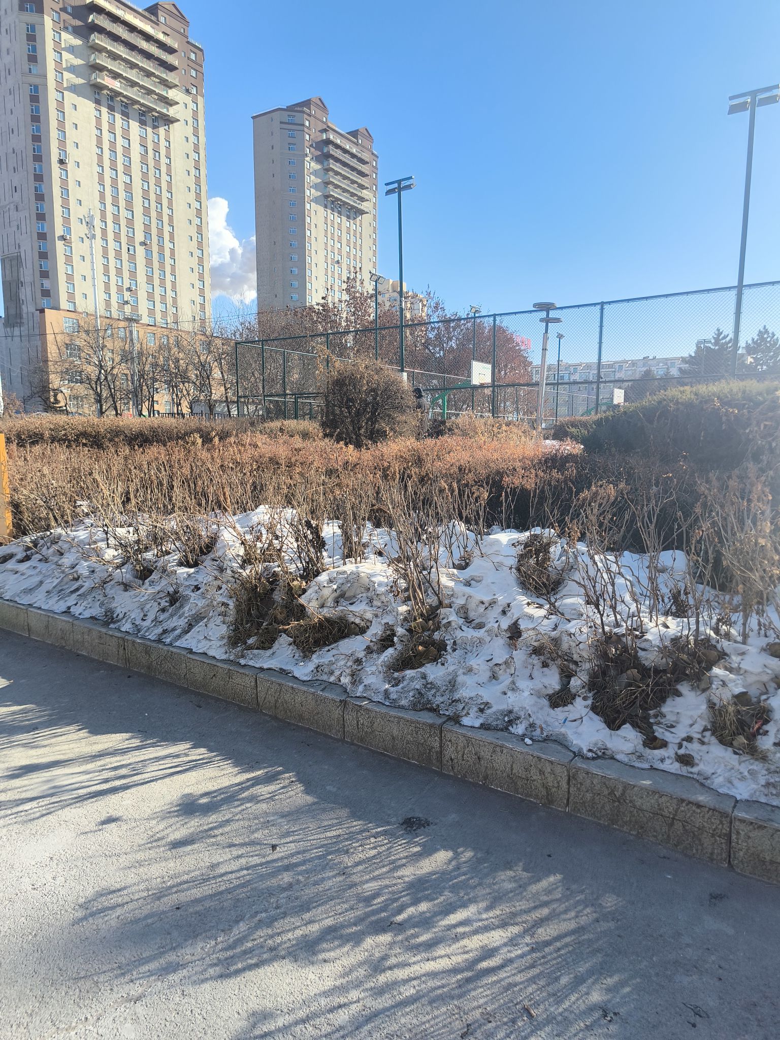 伯都讷文化公园旅行图片