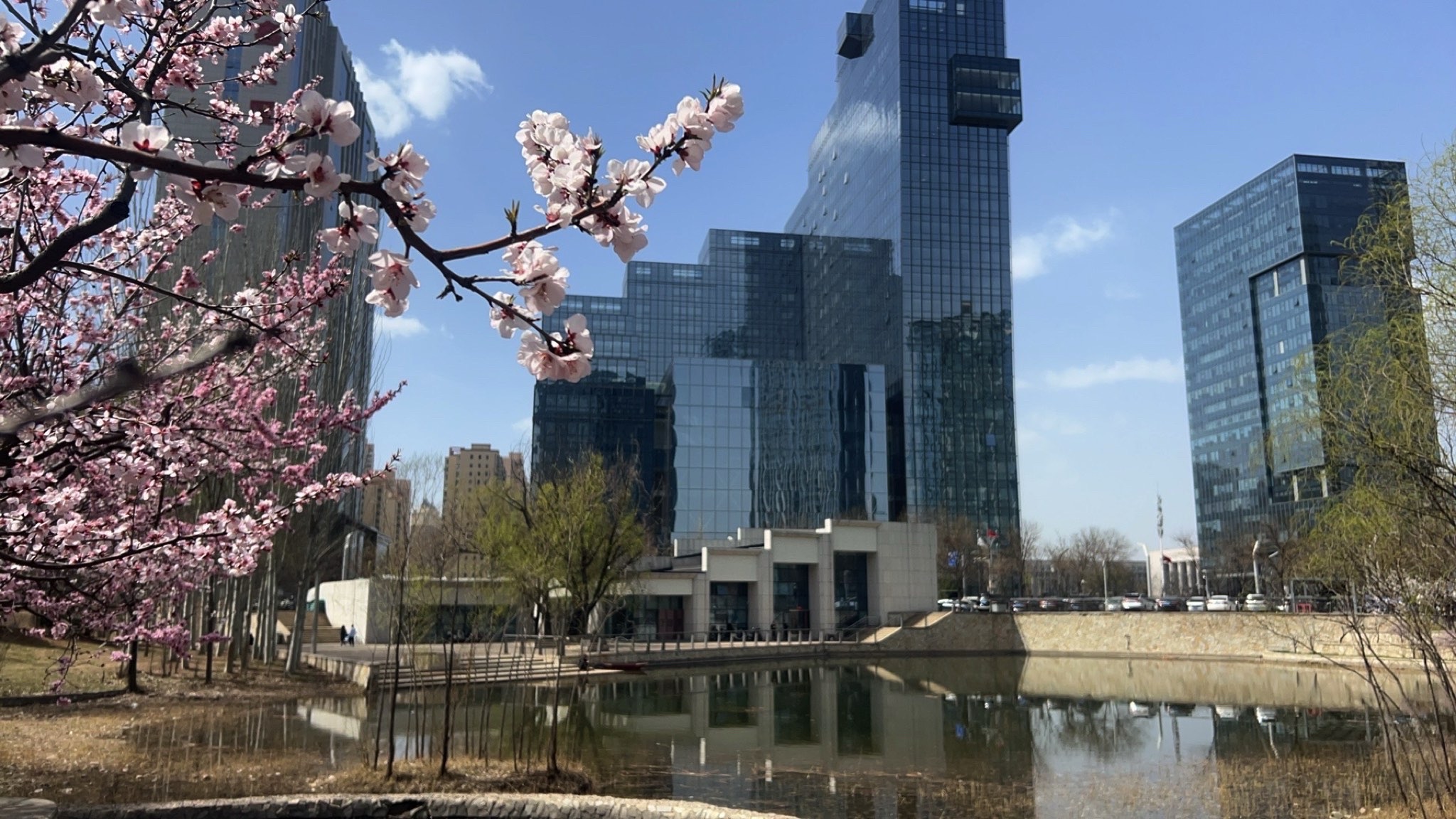 谐园旅行图片