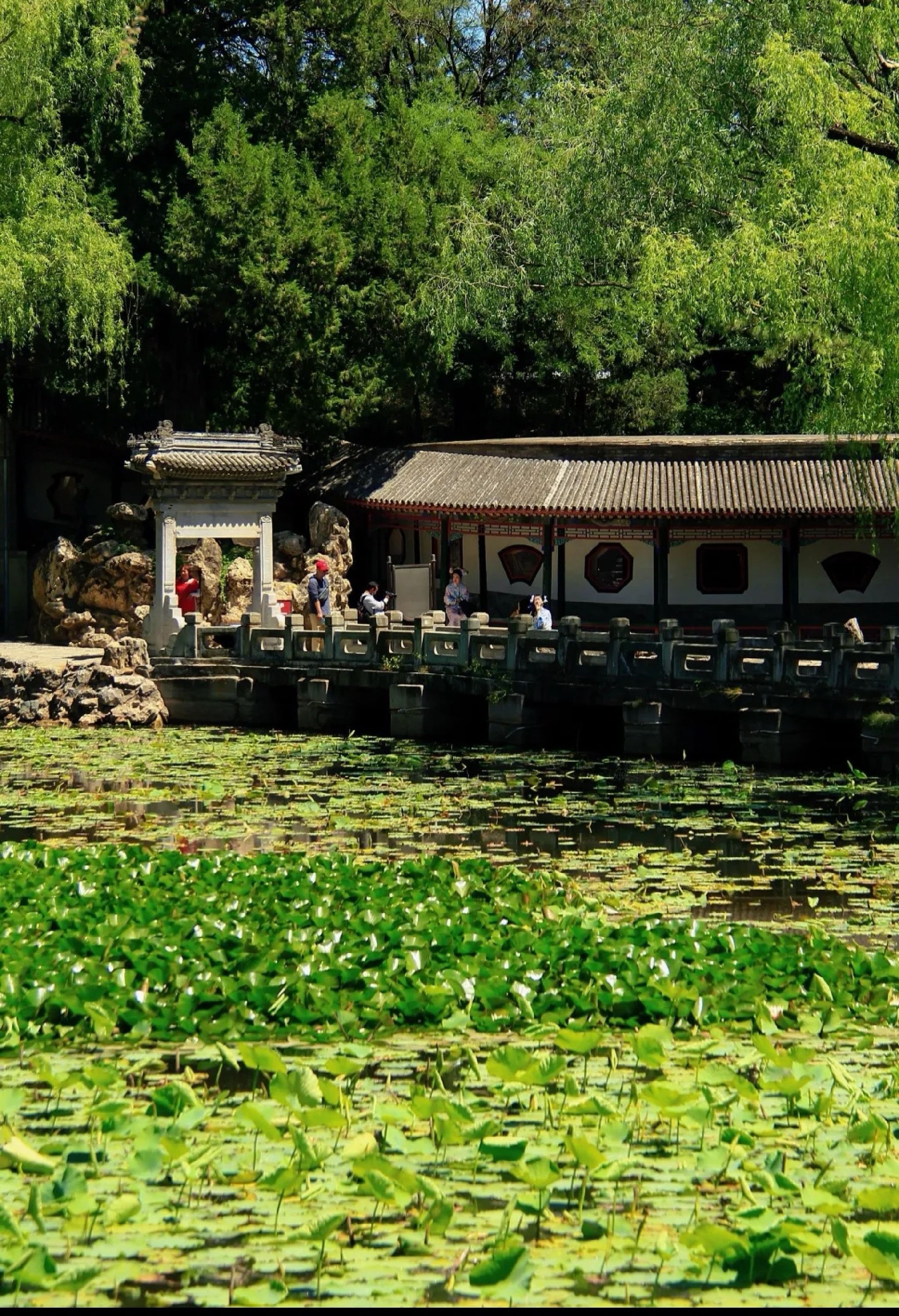 谐园旅行图片