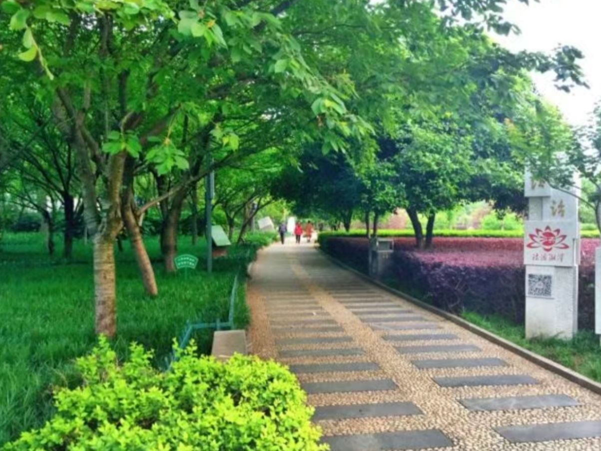 白石公园