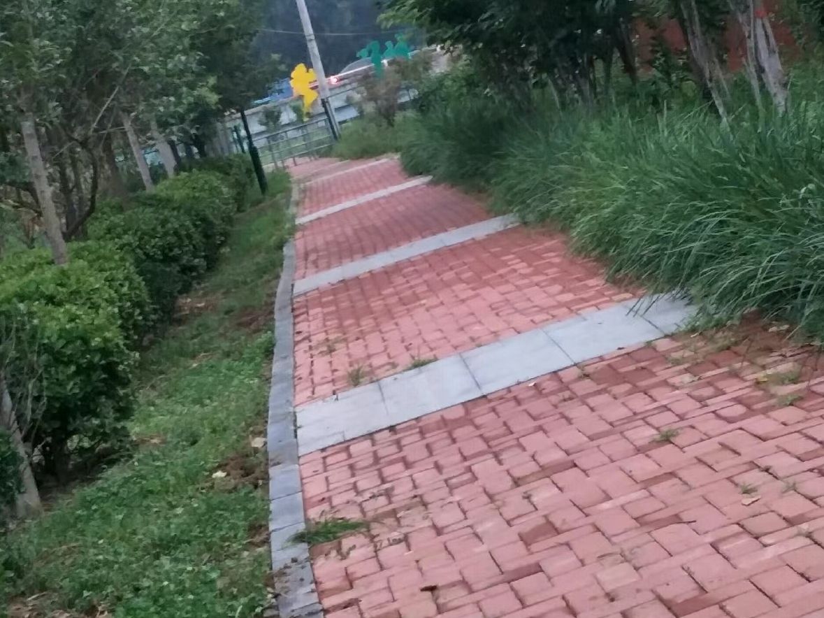 奥林匹克公园