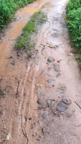 防城区扶隆镇电六村禾雀谷景区