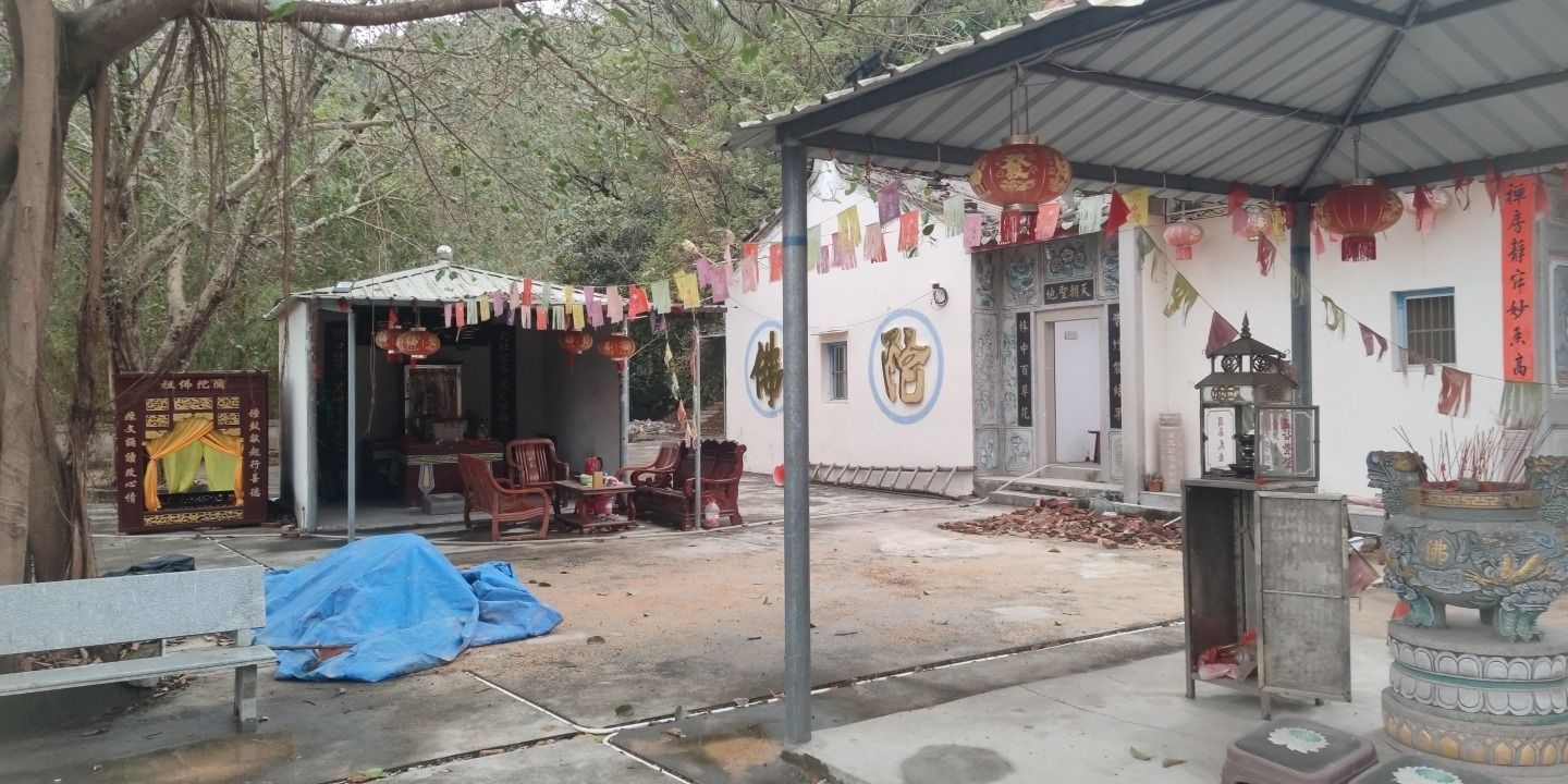 紫竹林