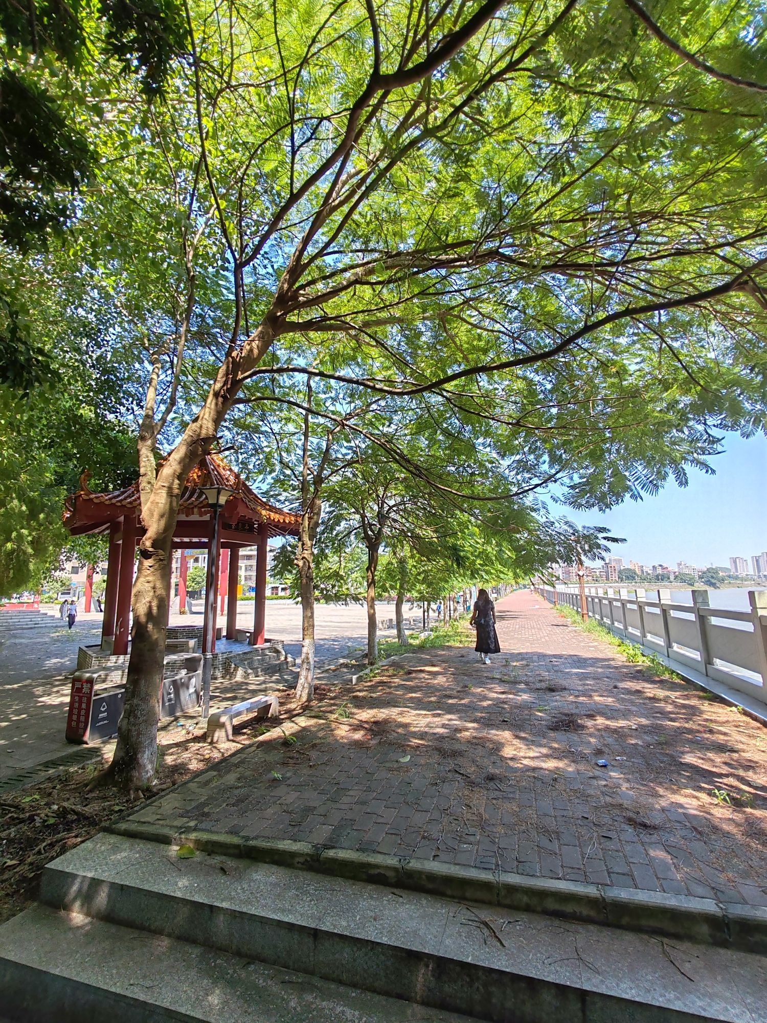 观山公园旅行图片